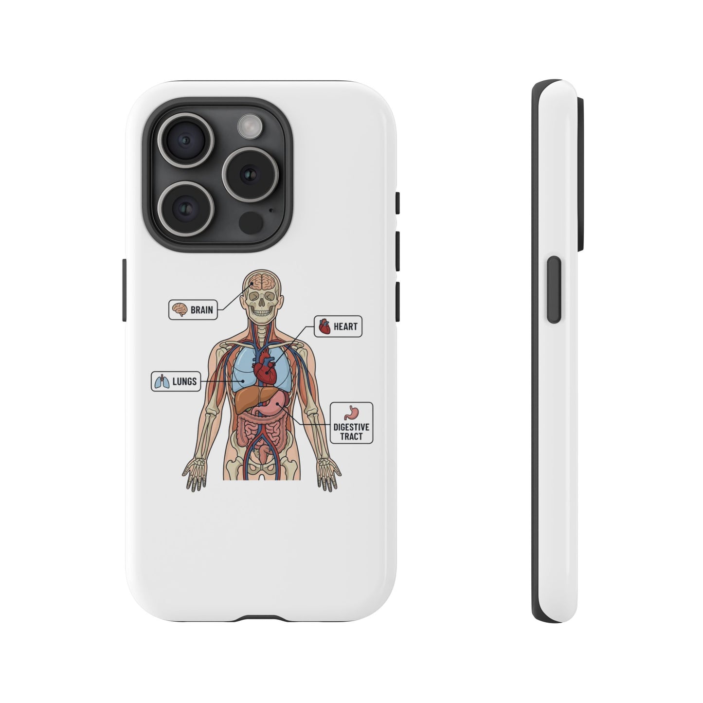 Anatomy Case — Medical Student Human Anatomy Study Aid