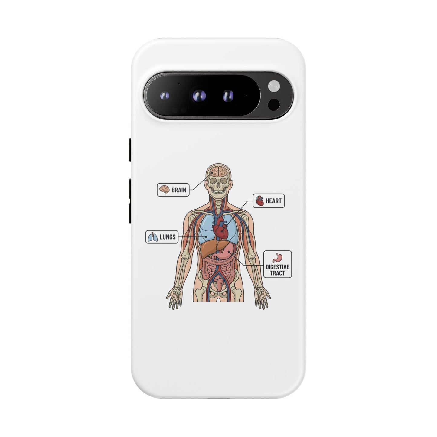 Anatomy Case — Medical Student Human Anatomy Study Aid