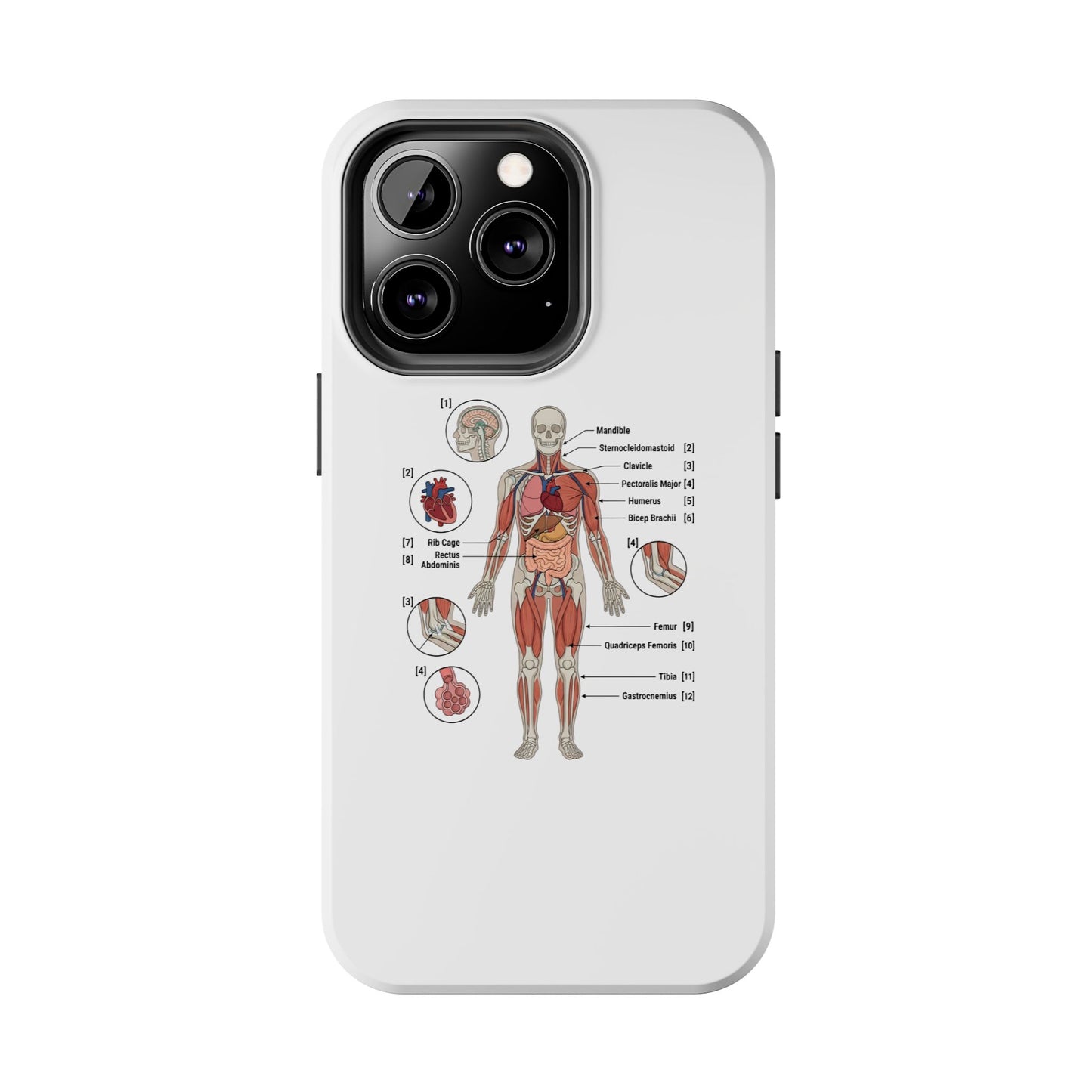 Anatomy Study Phone Case — Human Anatomy Diagram for Medical Students