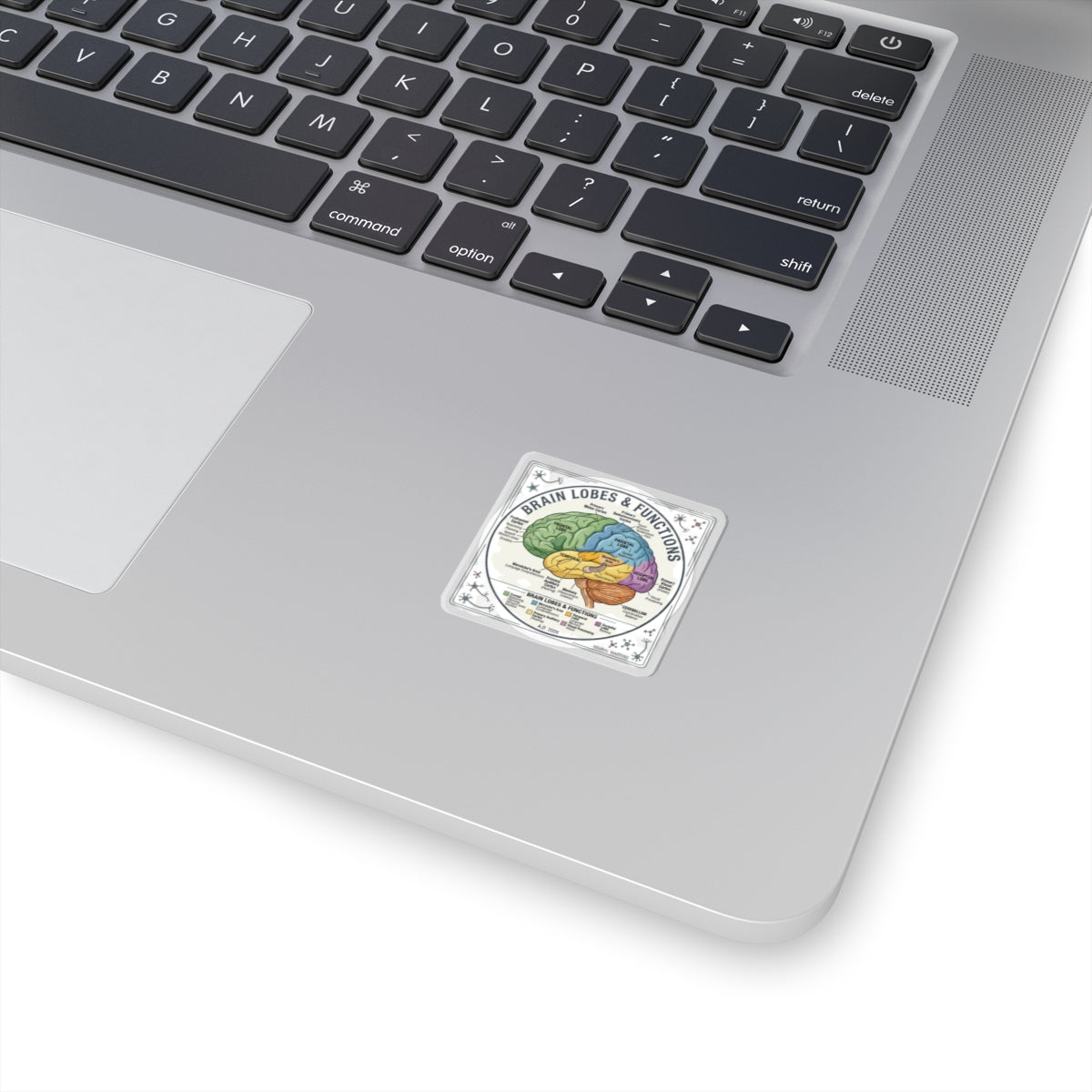Brain Lobes Diagram Sticker | 250th Anniversary 4th of July Patriotic