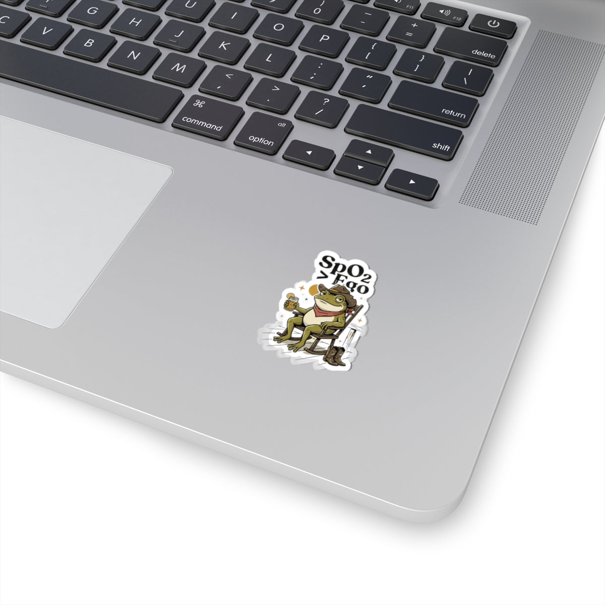 Well Sheeyit Frog Sticker | Vintage Southern, Rustic Western Cartoon