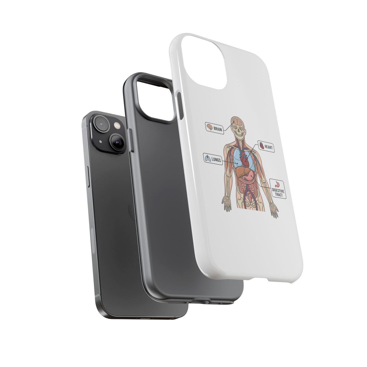 Anatomy Case — Medical Student Human Anatomy Study Aid