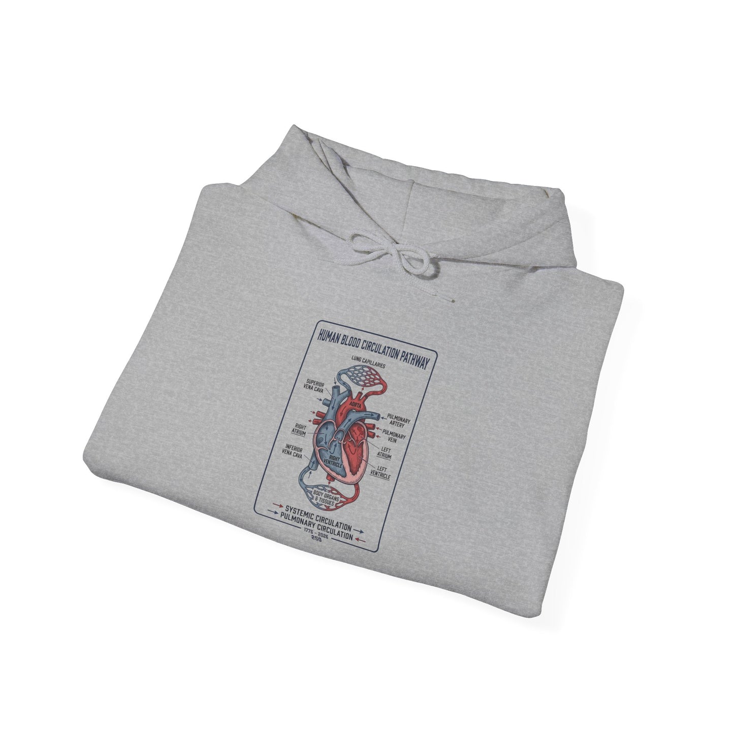 250th Anniversary Patriotic Anatomy Heart Hoodie | 4th of July Independence Sweatshirt