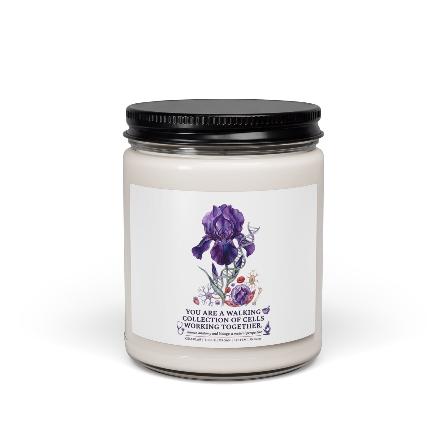 Iris Birth Flower Candle | Soy Scented Jar, Botanical Birth Month