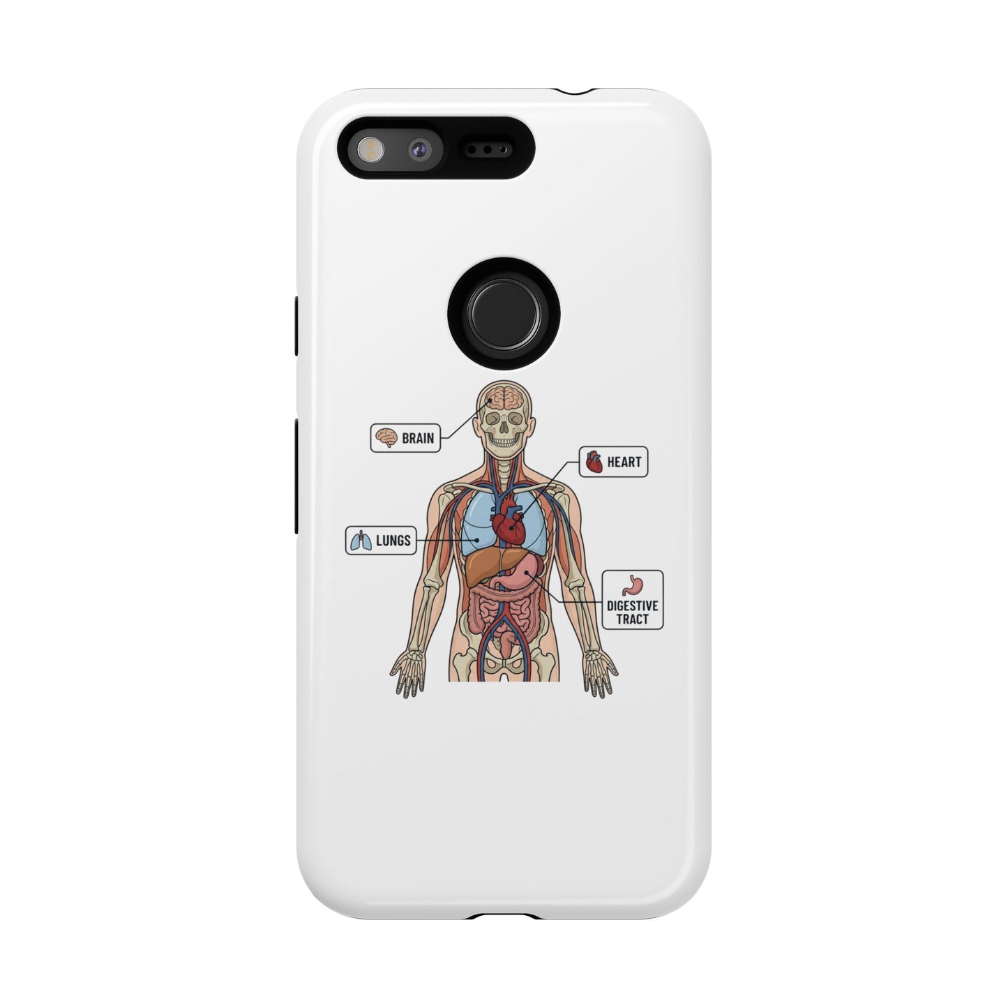 Anatomy Case — Medical Student Human Anatomy Study Aid