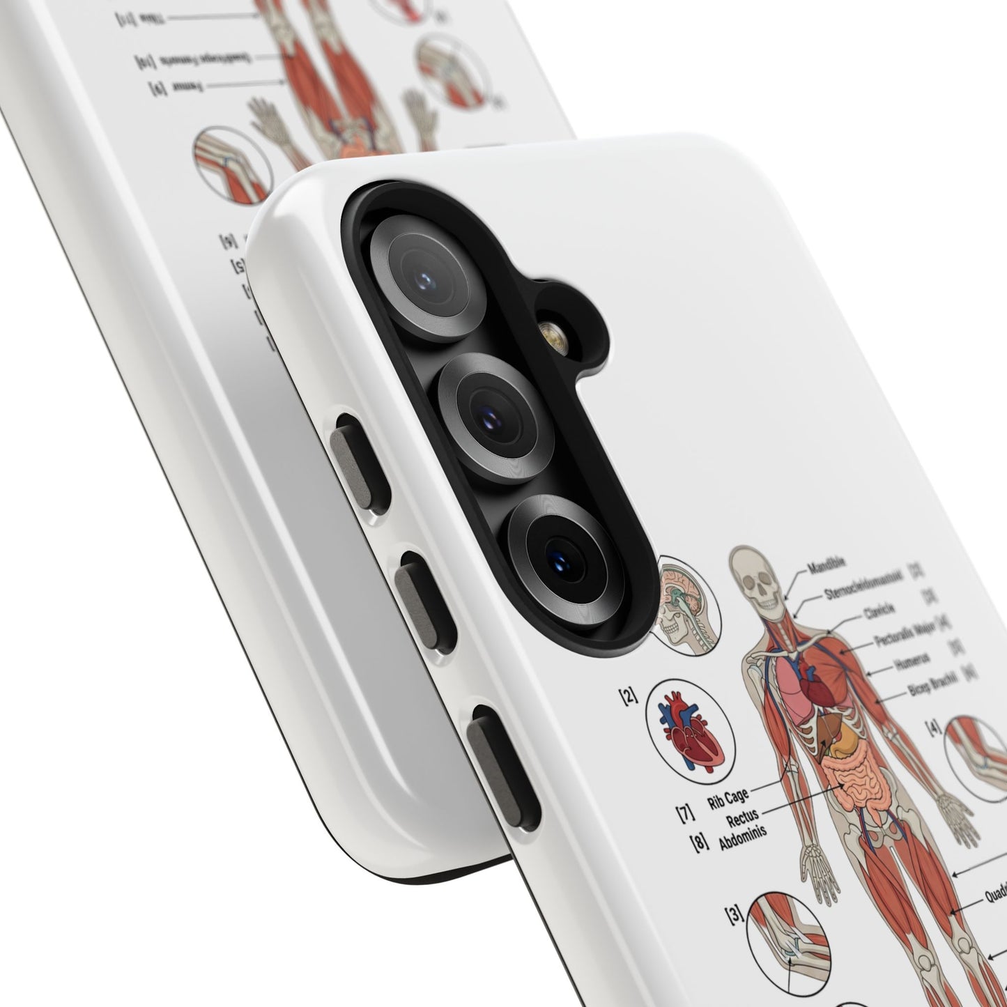 Anatomy Study Phone Case — Human Anatomy Diagram for Medical Students