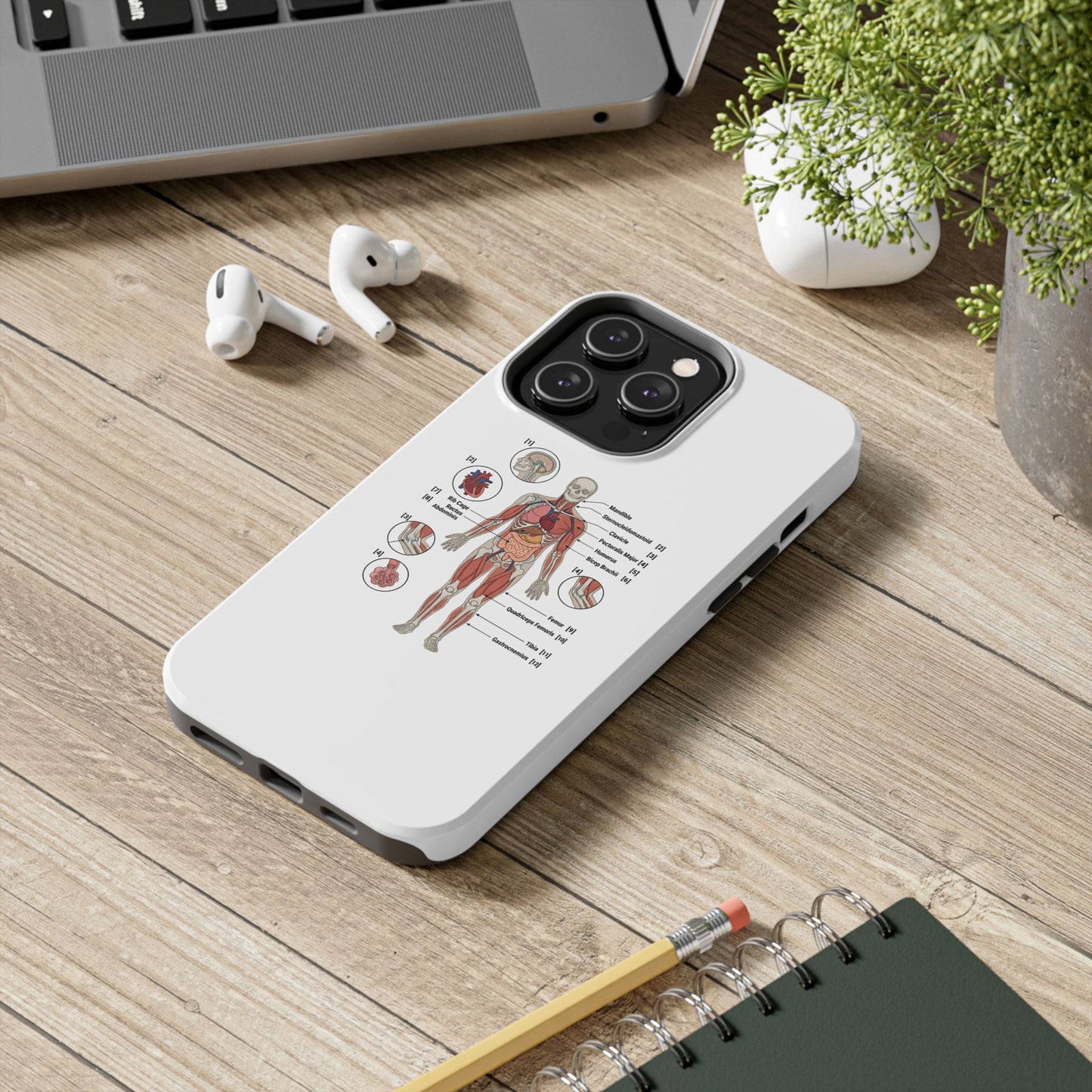 Anatomy Study Phone Case — Human Anatomy Diagram for Medical Students