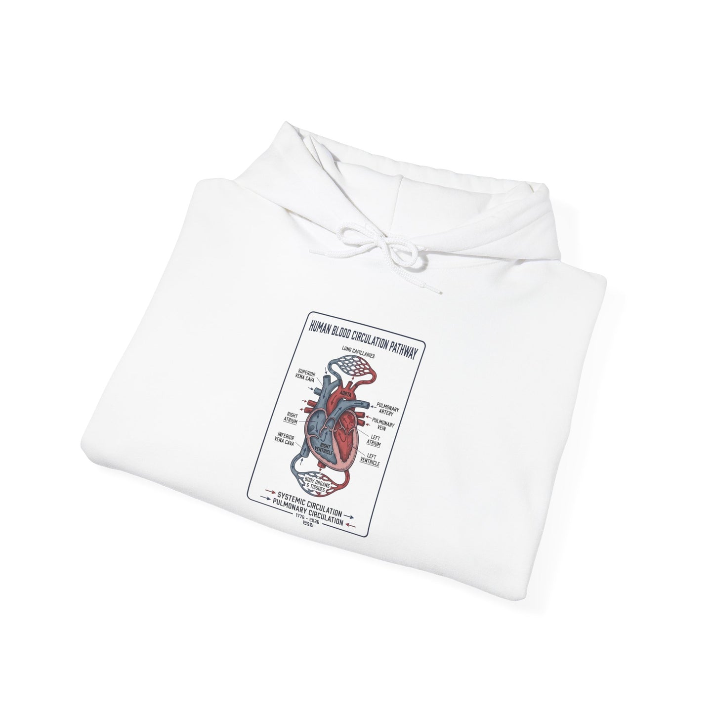 250th Anniversary Patriotic Anatomy Heart Hoodie | 4th of July Independence Sweatshirt