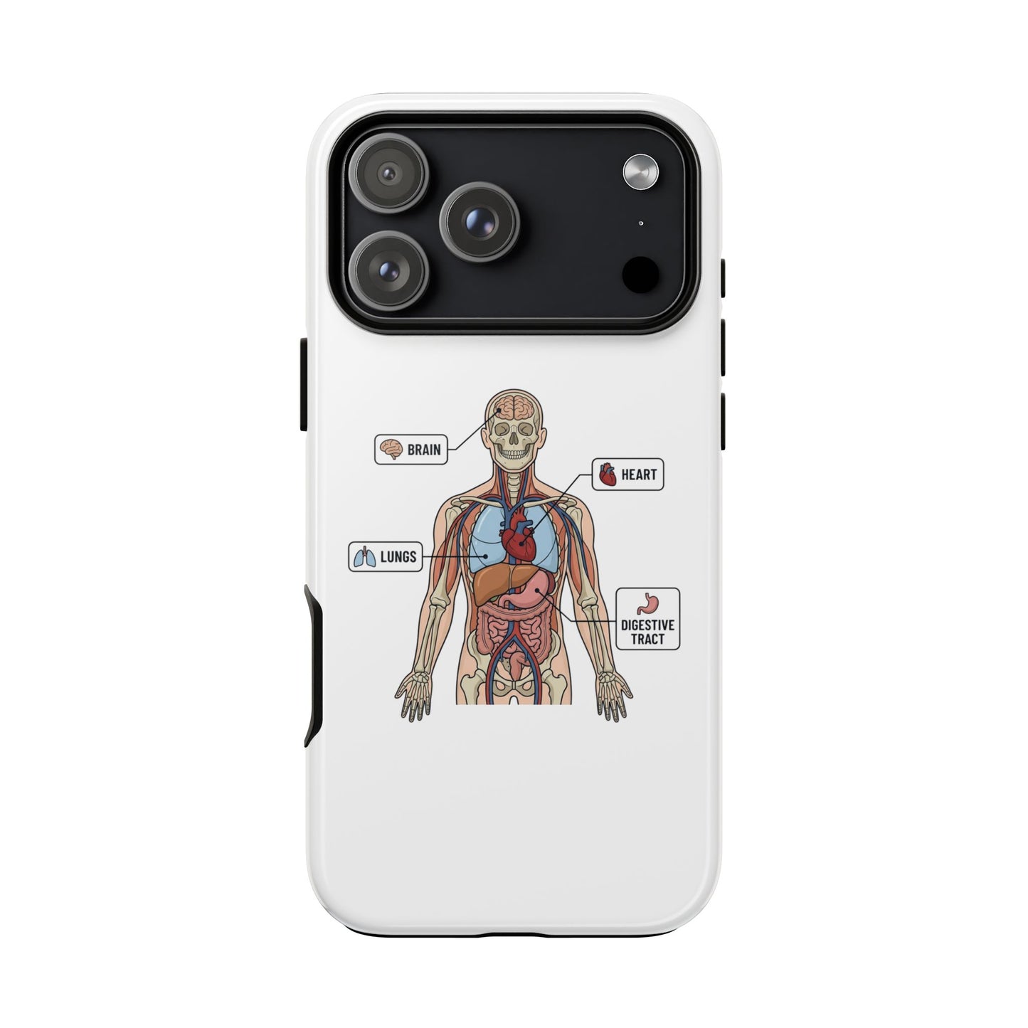 Anatomy Case — Medical Student Human Anatomy Study Aid