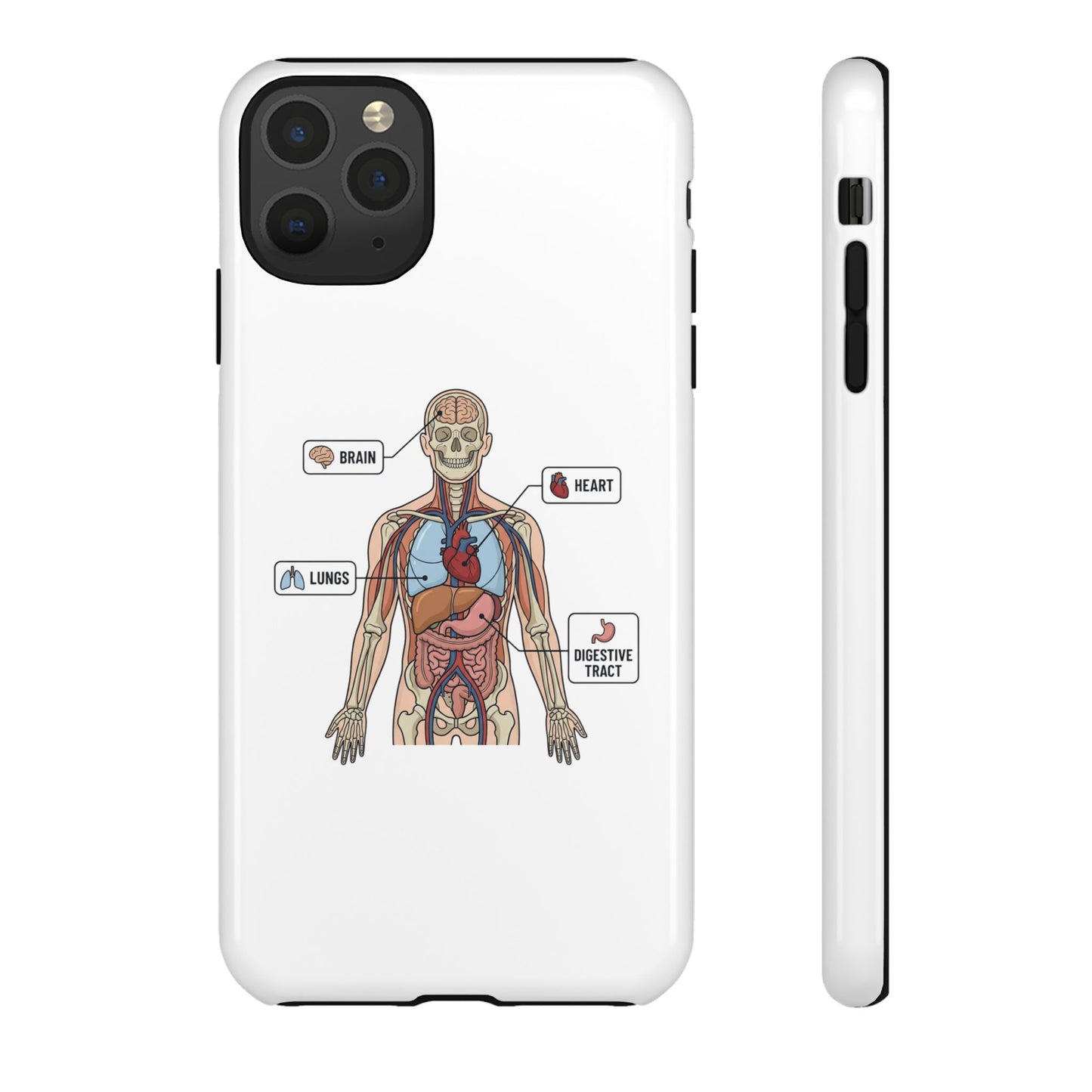 Anatomy Case — Medical Student Human Anatomy Study Aid