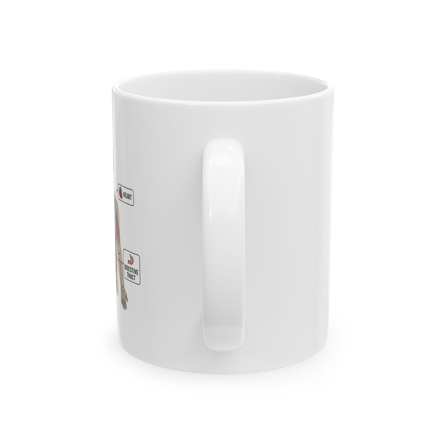 Anatomy Study Ceramic Mug — Human Anatomy for Medical Students (11oz, 15oz)