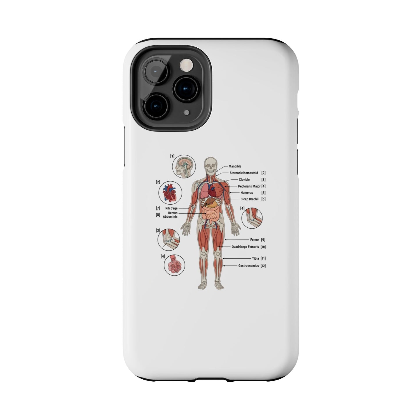 Anatomy Study Phone Case — Human Anatomy Diagram for Medical Students