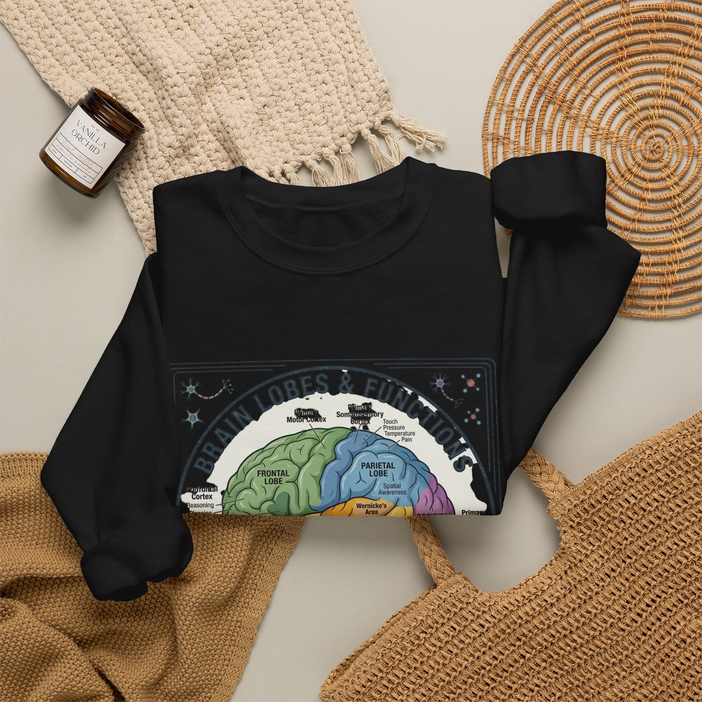 Brain Lobes Diagram Sweatshirt | 250th 4th of July Patriotic Milestone