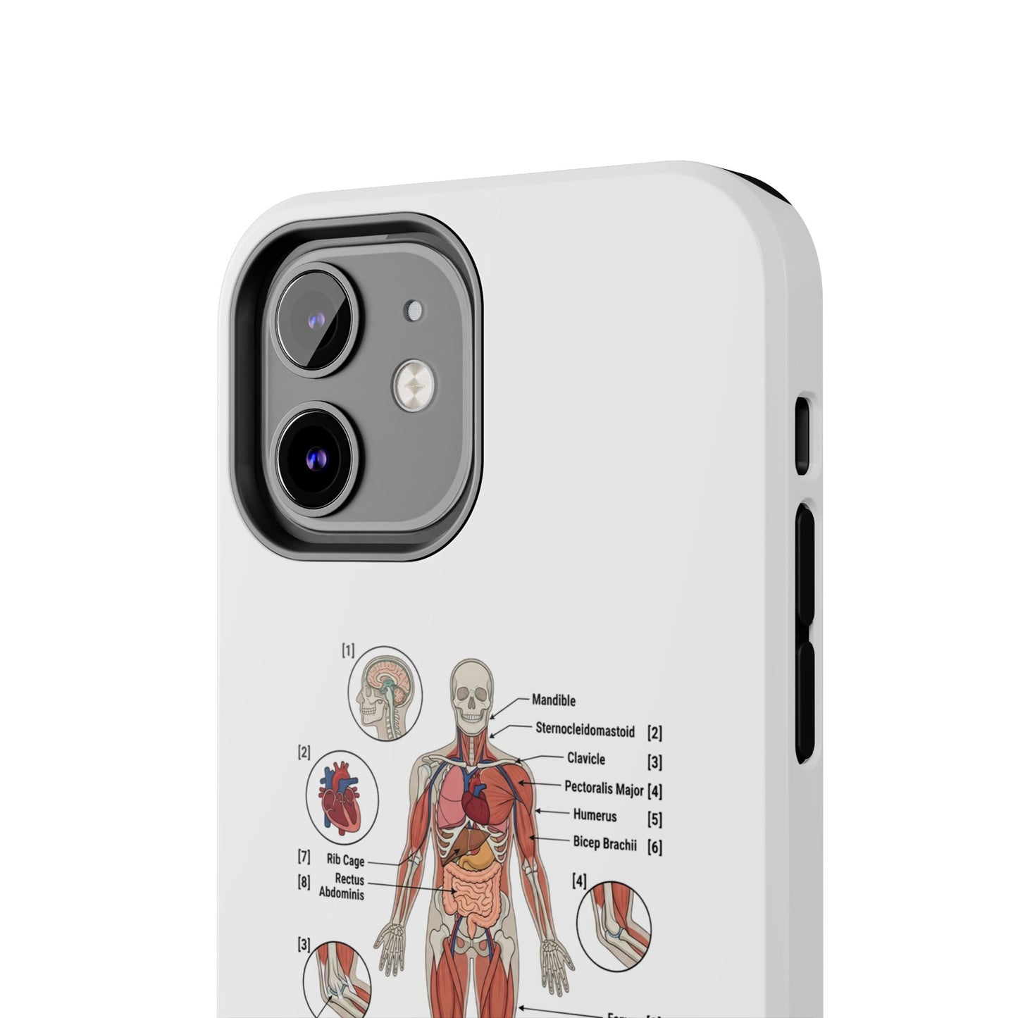 Anatomy Study Phone Case — Human Anatomy Diagram for Medical Students