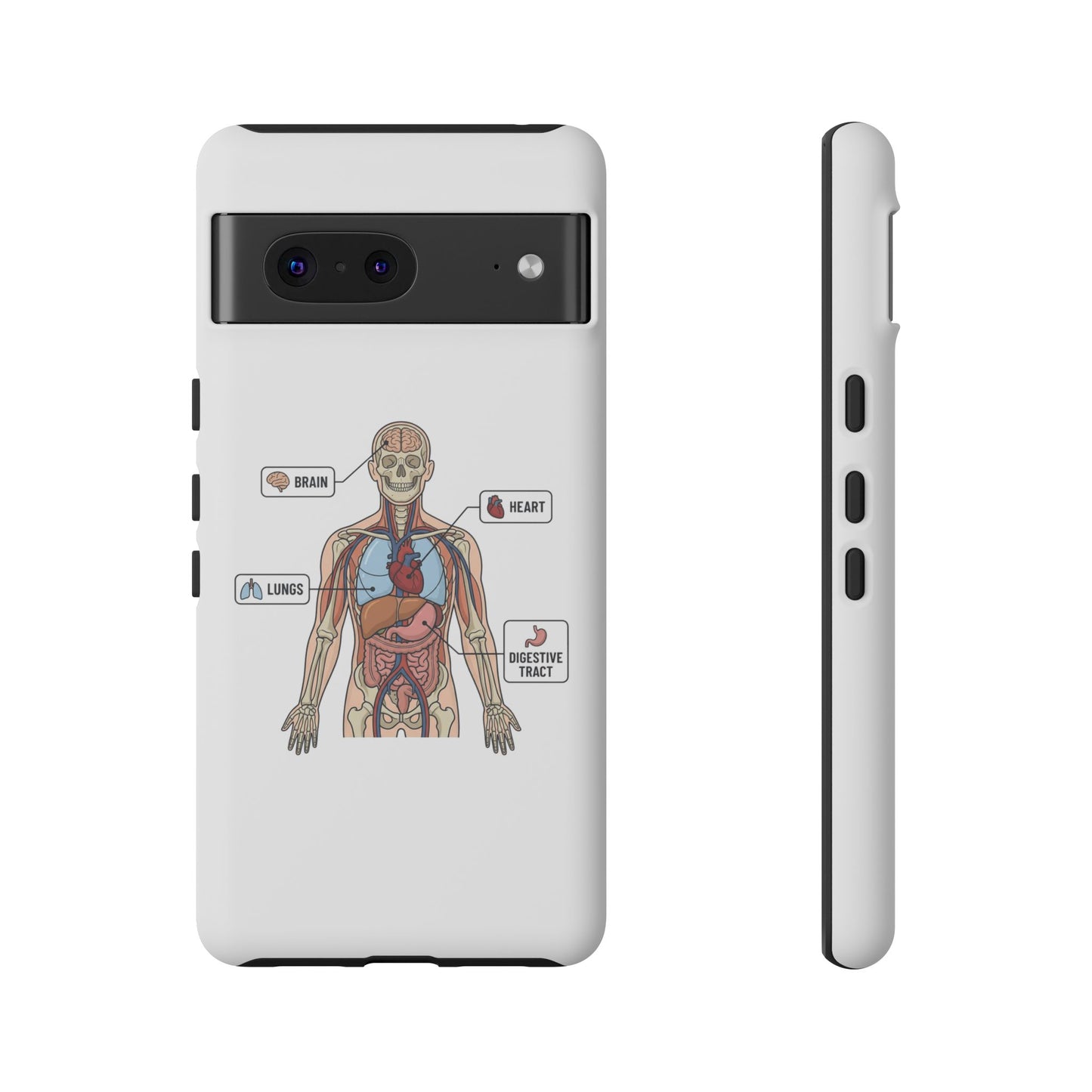 Anatomy Case — Medical Student Human Anatomy Study Aid