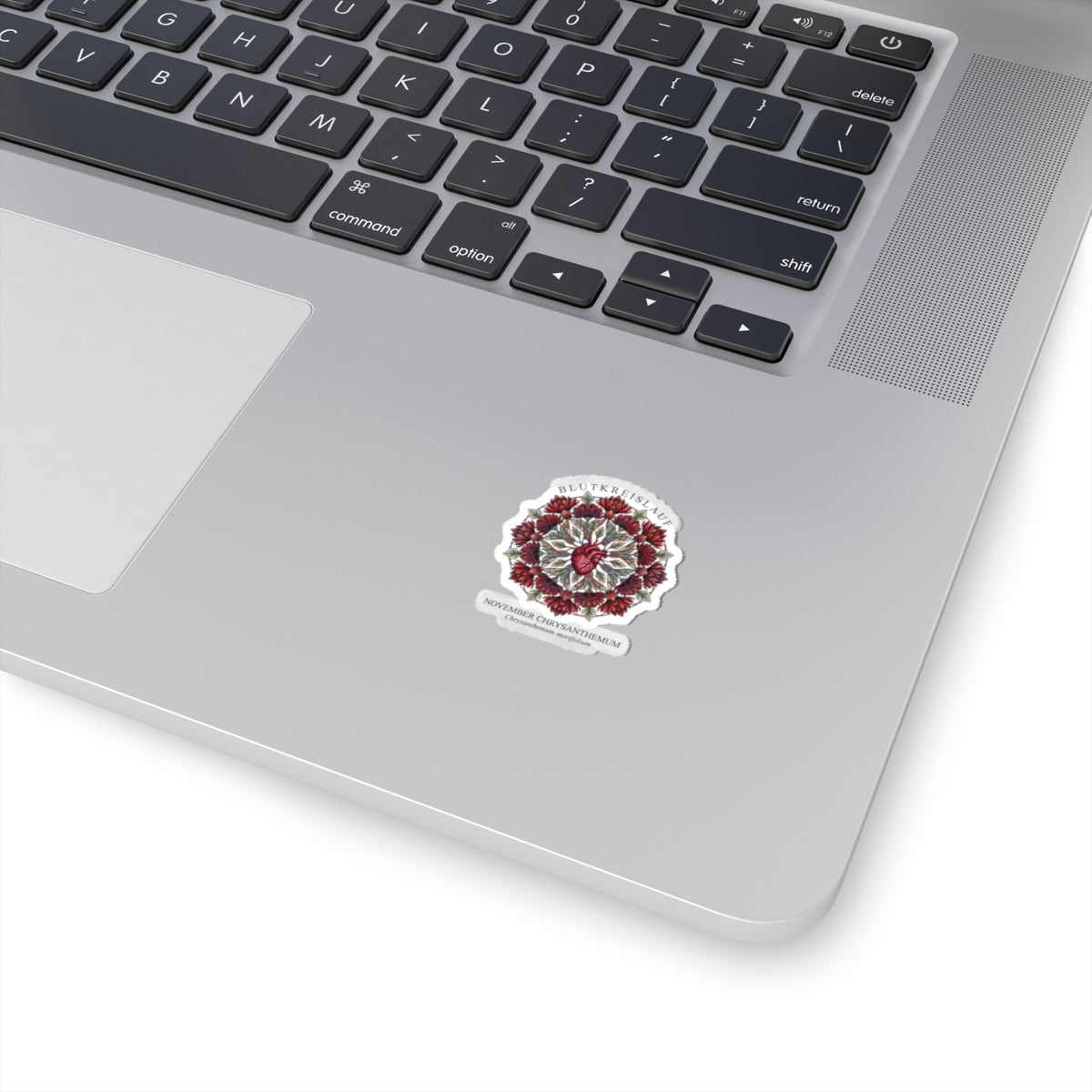November Chrysanthemum Sticker | Birth Flower, Botanical Illustration