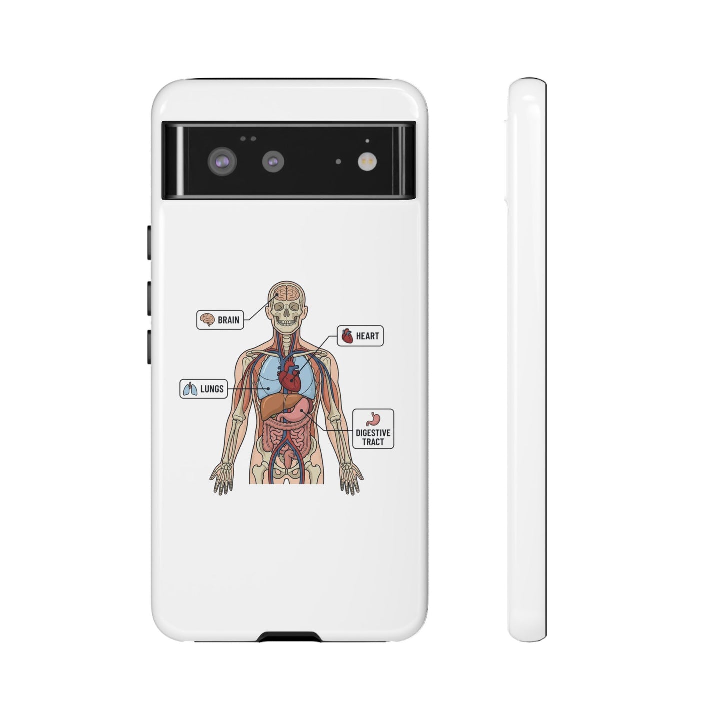 Anatomy Case — Medical Student Human Anatomy Study Aid