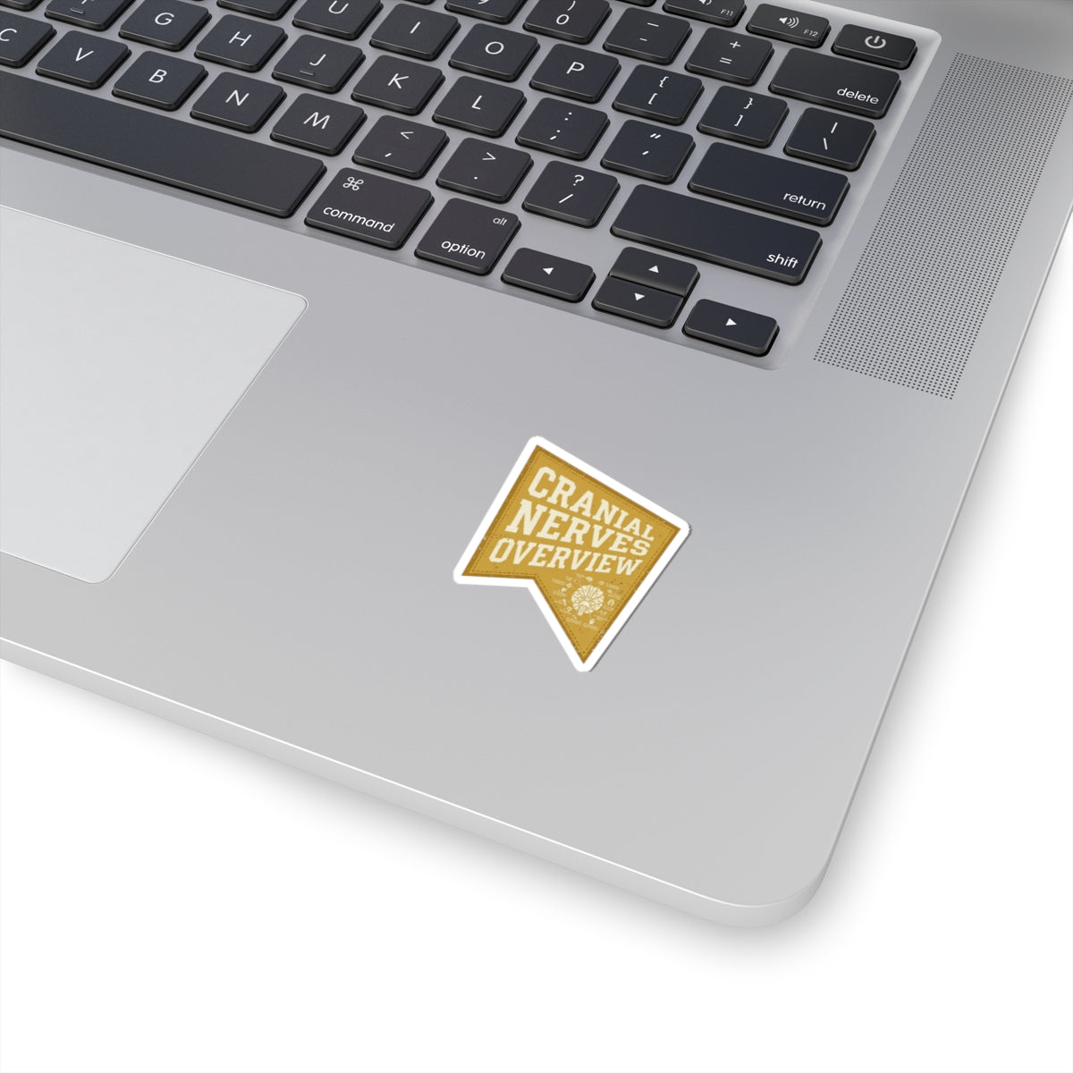 Retro Tiger Patch Sticker | Easy Tiger, Vacation Vibes
