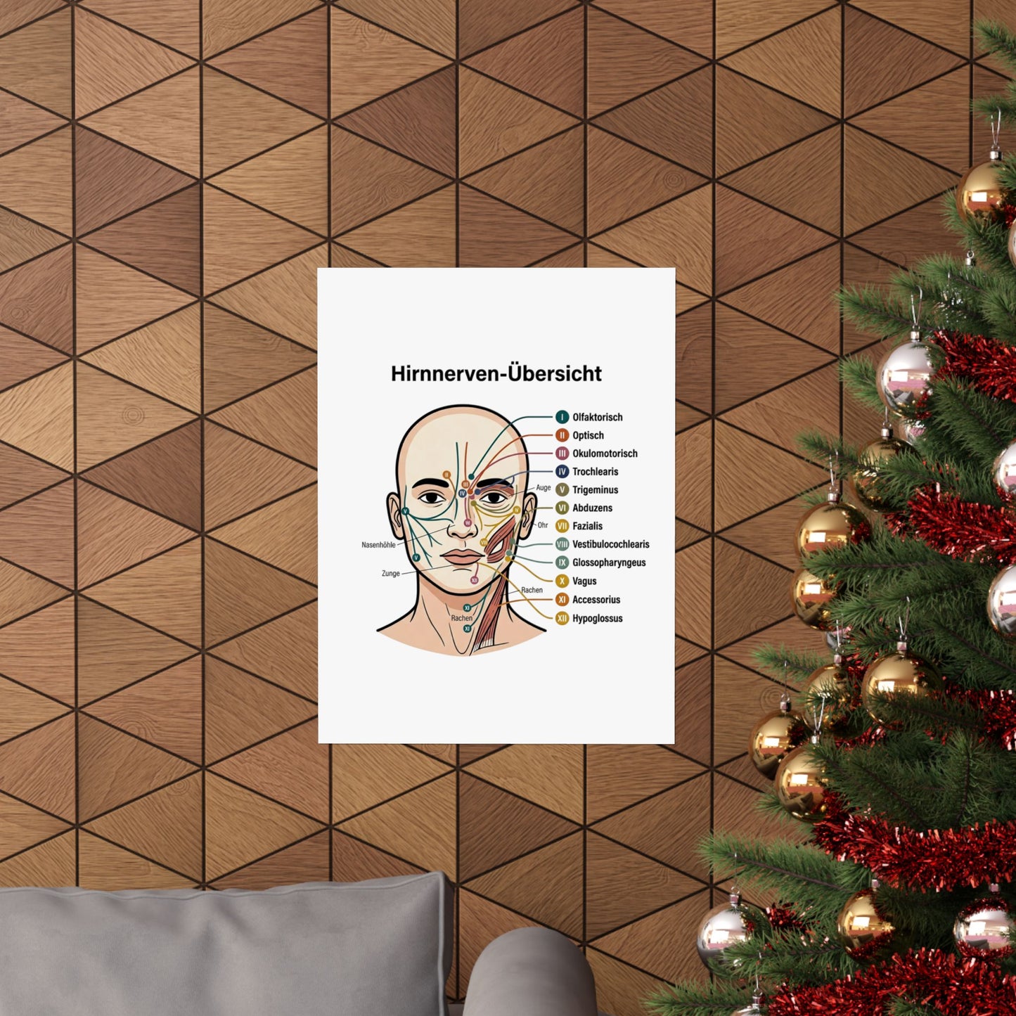 Anatomy Poster — Hirnnerven-Übersicht Matte Vertical Poster