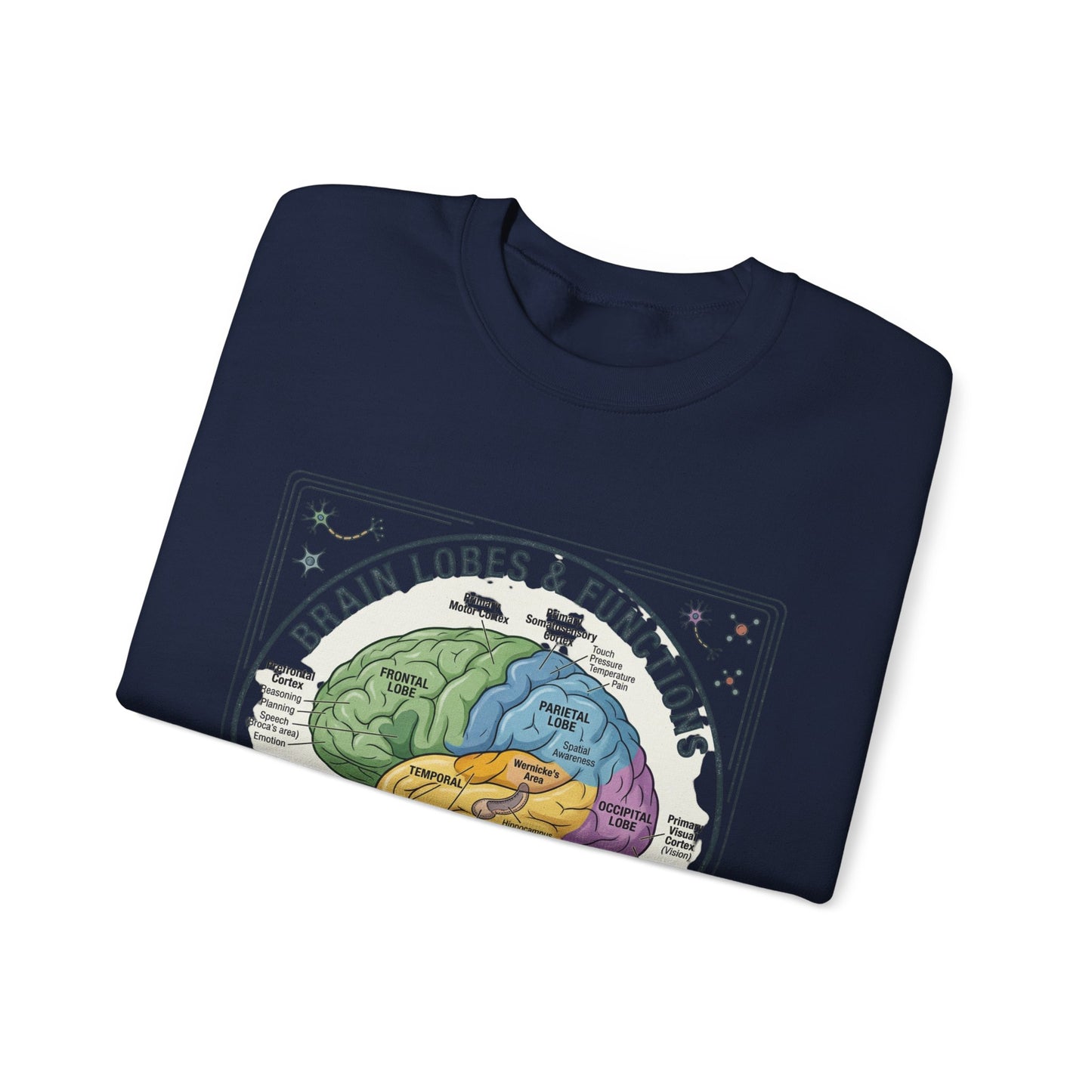 Brain Lobes Diagram Sweatshirt | 250th 4th of July Patriotic Milestone
