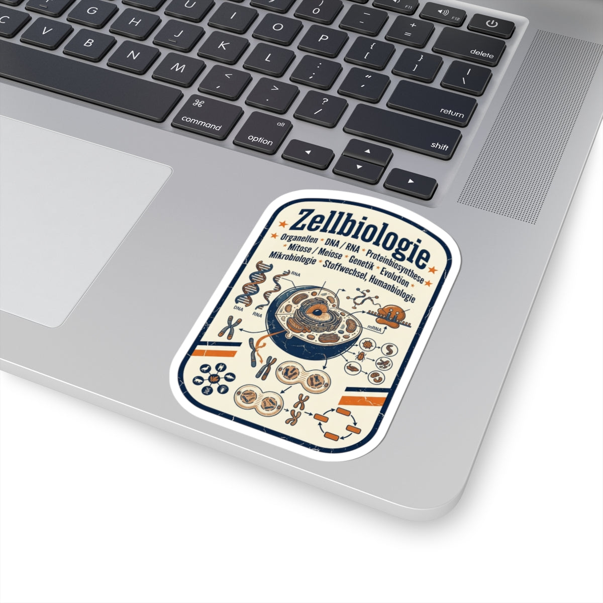 Cell Biology Diagram Kiss-Cut Sticker | NY Basketball City Pride