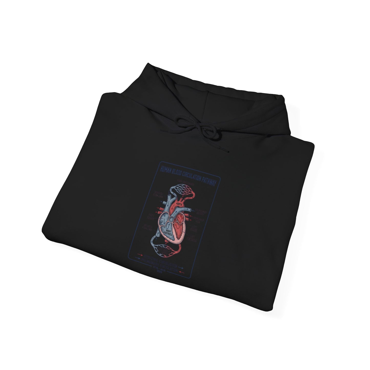 250th Anniversary Patriotic Anatomy Heart Hoodie | 4th of July Independence Sweatshirt