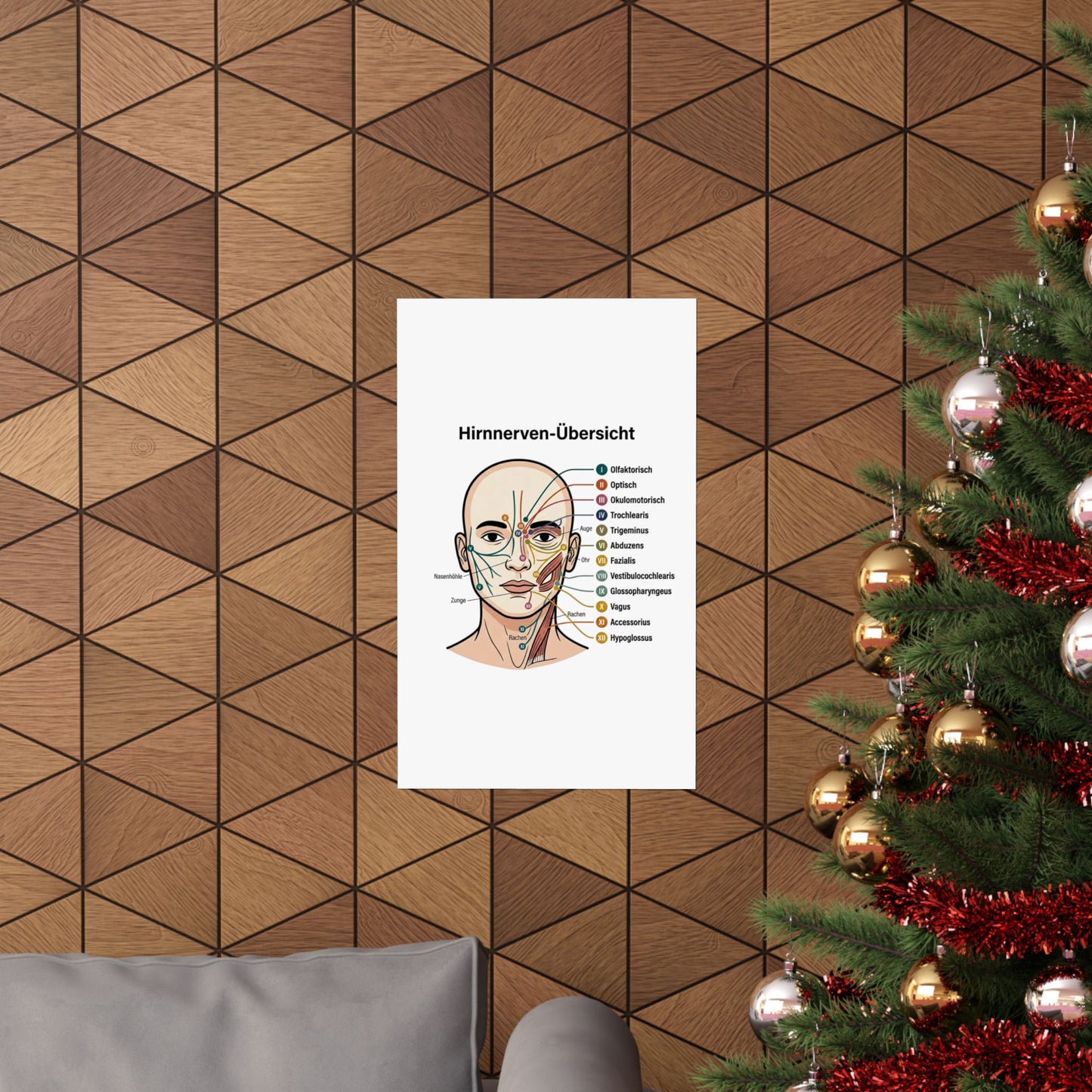 Anatomy Poster — Hirnnerven-Übersicht Matte Vertical Poster