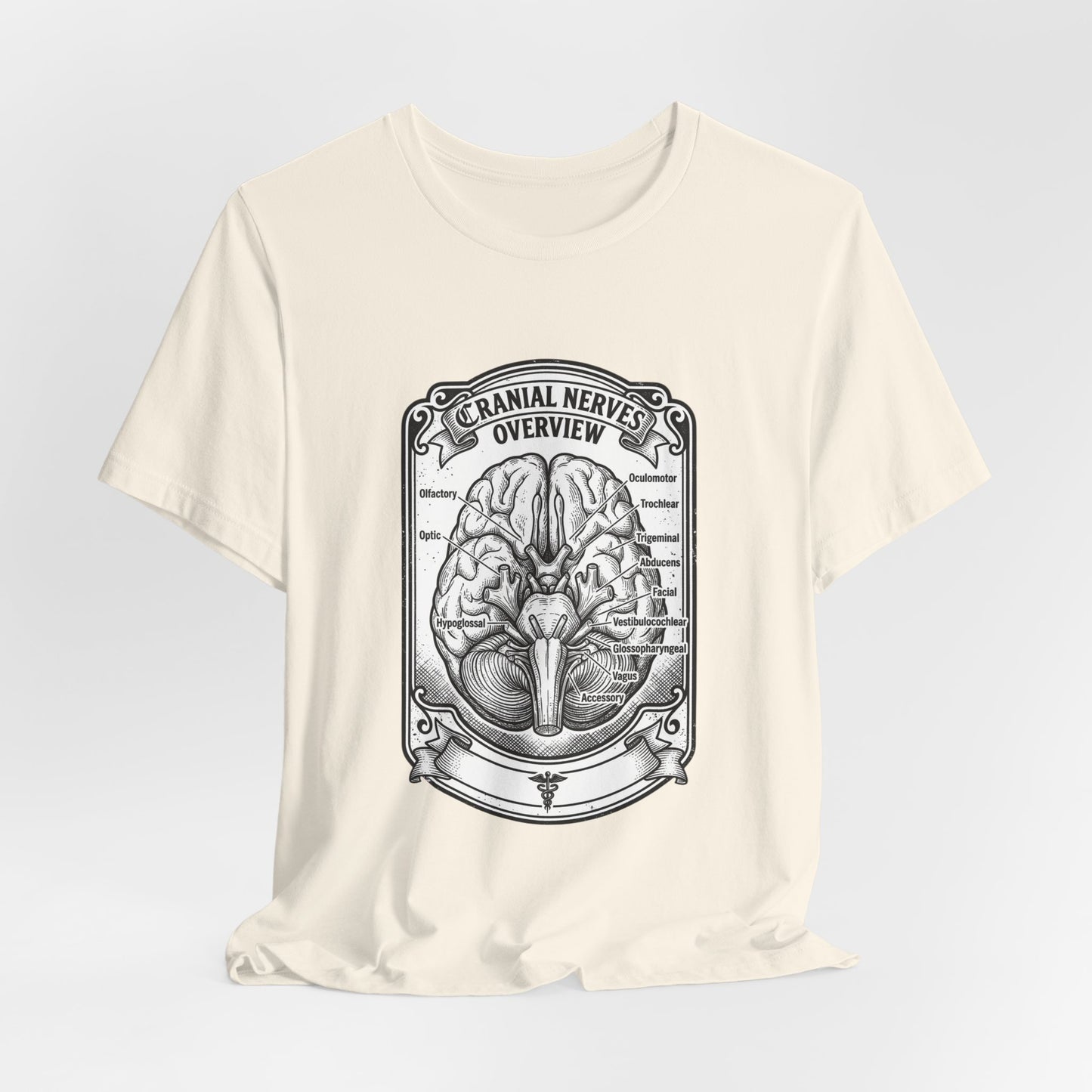 Cranial Nerves Illustration Tee | People Over Profit, Values-Led Apparel
