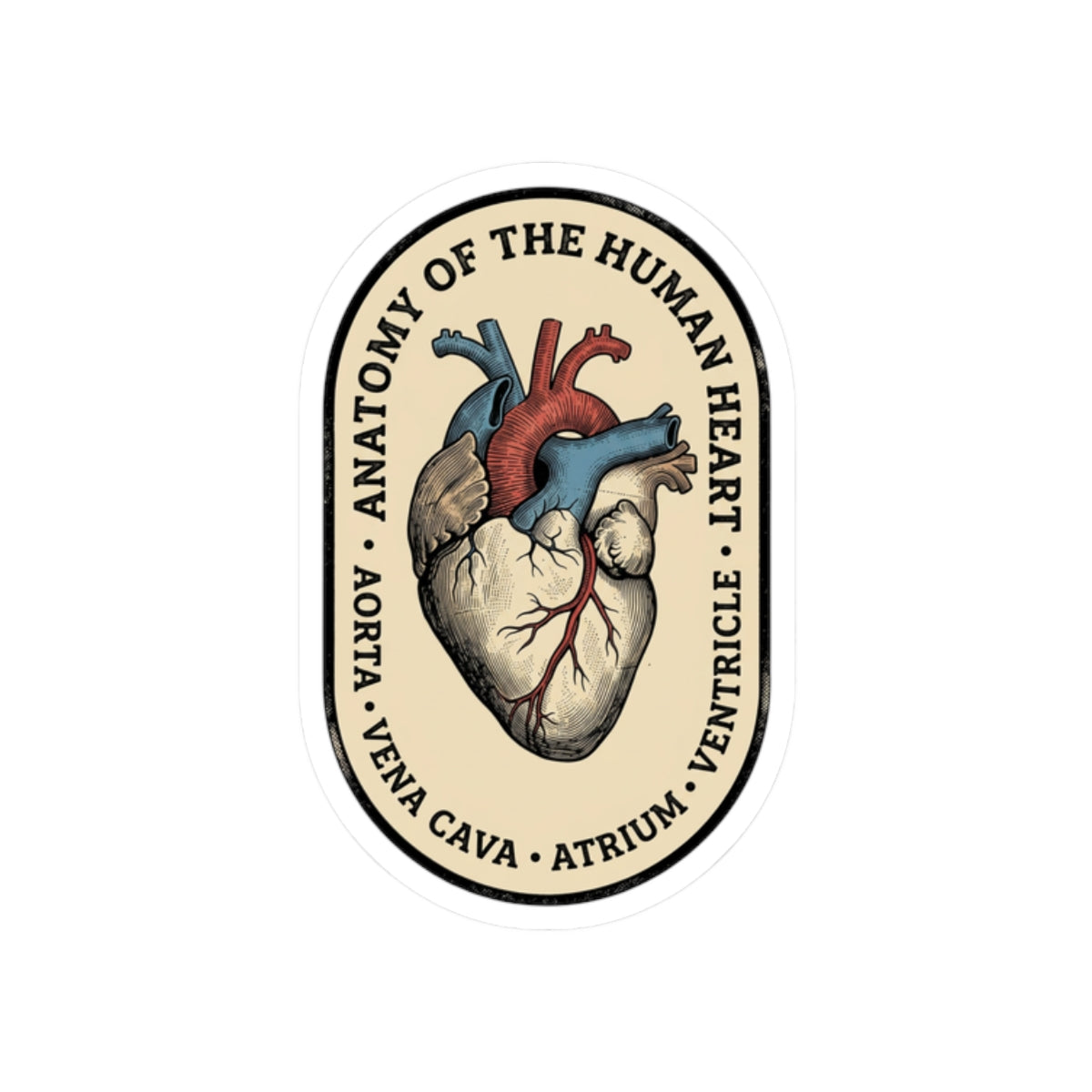 Anatomical Heart Sticker | Retro Medical Illustration, Easy Tiger vintage vacation vibe