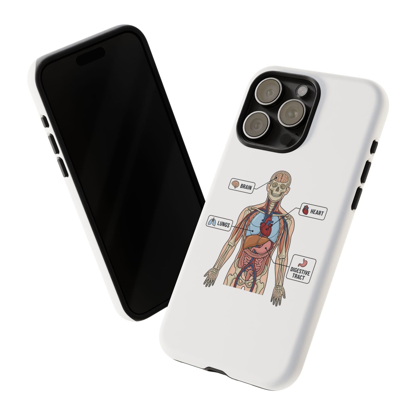 Anatomy Case — Medical Student Human Anatomy Study Aid