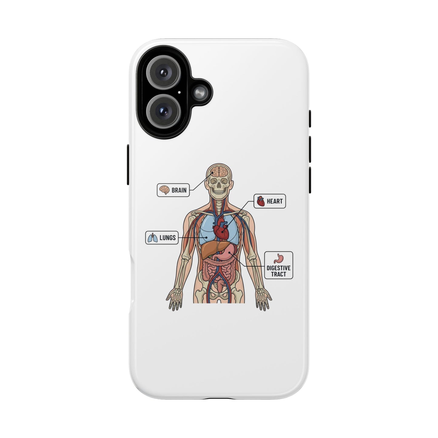 Anatomy Case — Medical Student Human Anatomy Study Aid