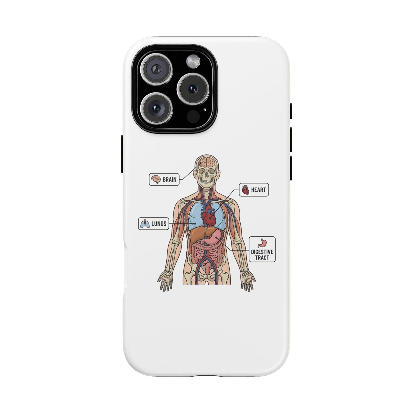 Anatomy Case — Medical Student Human Anatomy Study Aid