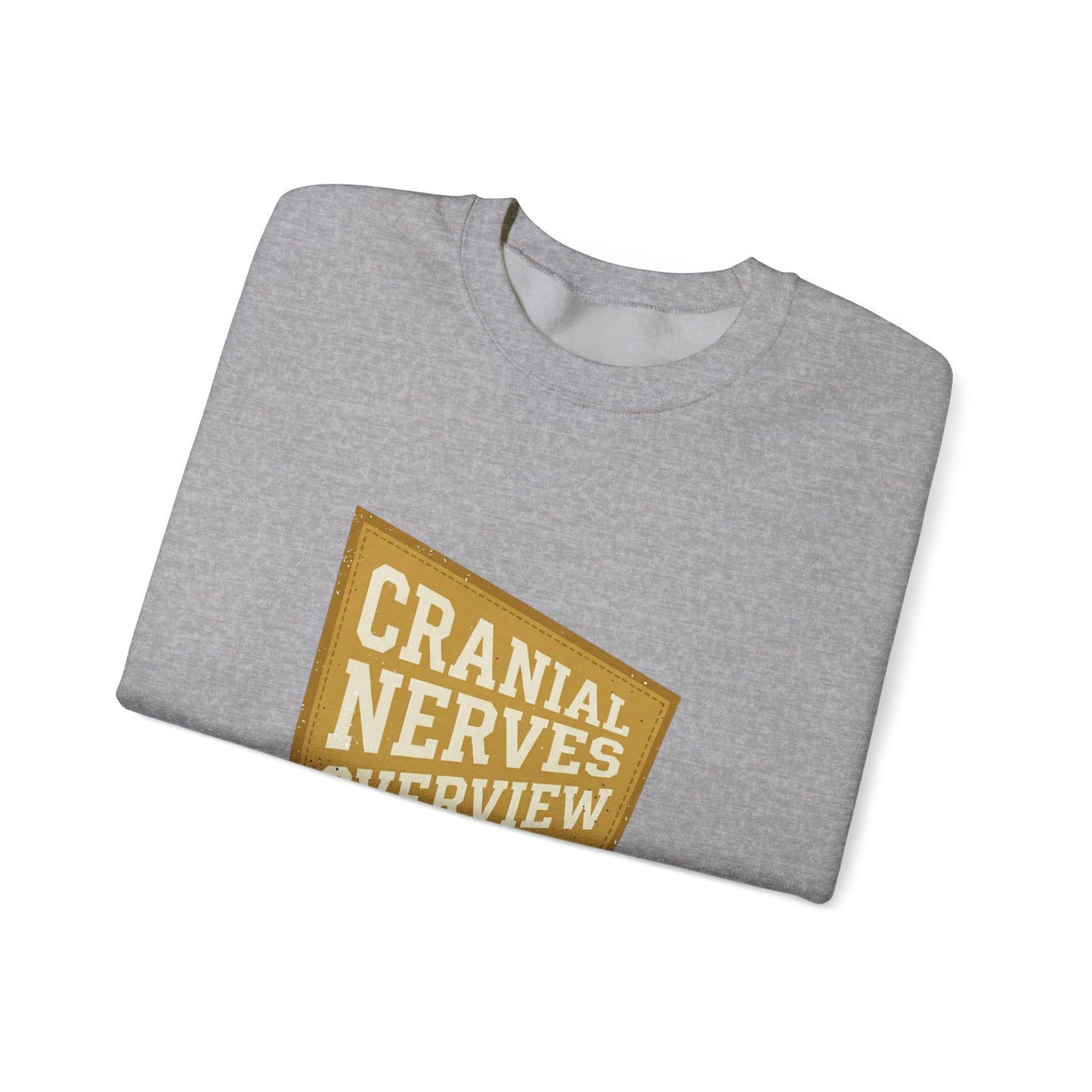 Cranial Nerves Overview Sweatshirt | Retro Anatomy, Easy Tiger Vibe