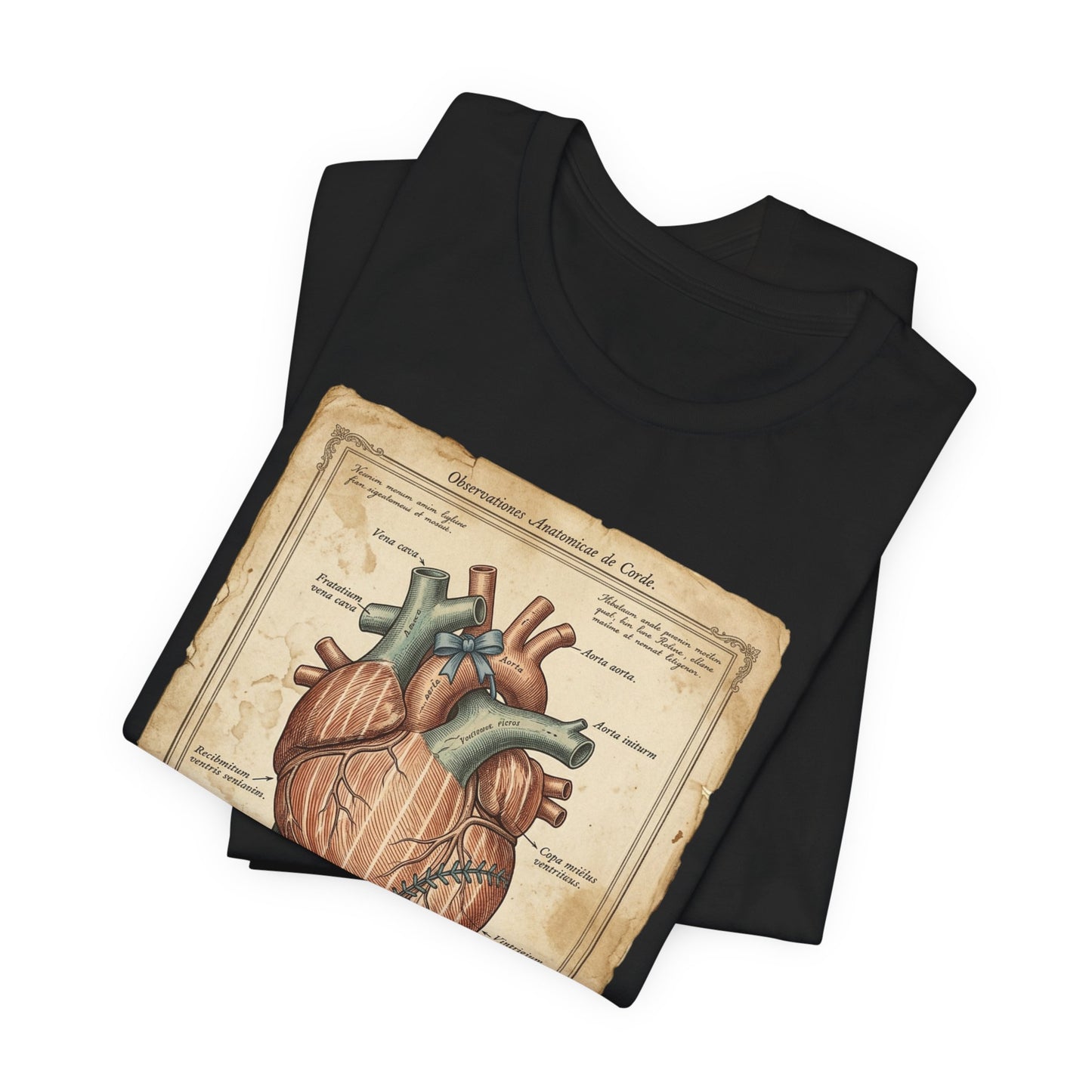 Philly Baseball Heart Tee | Philadelphia Pride, Regional Fan Shirt