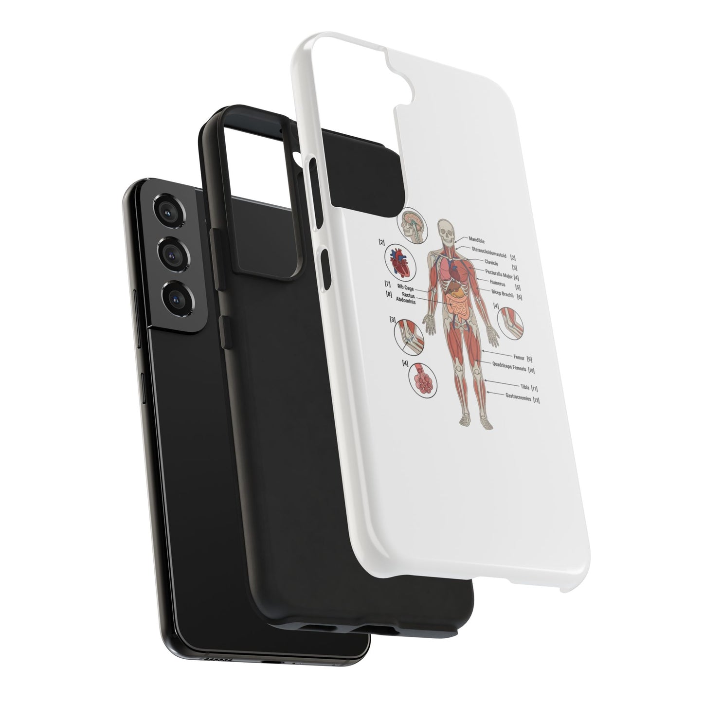 Anatomy Study Phone Case — Human Anatomy Diagram for Medical Students