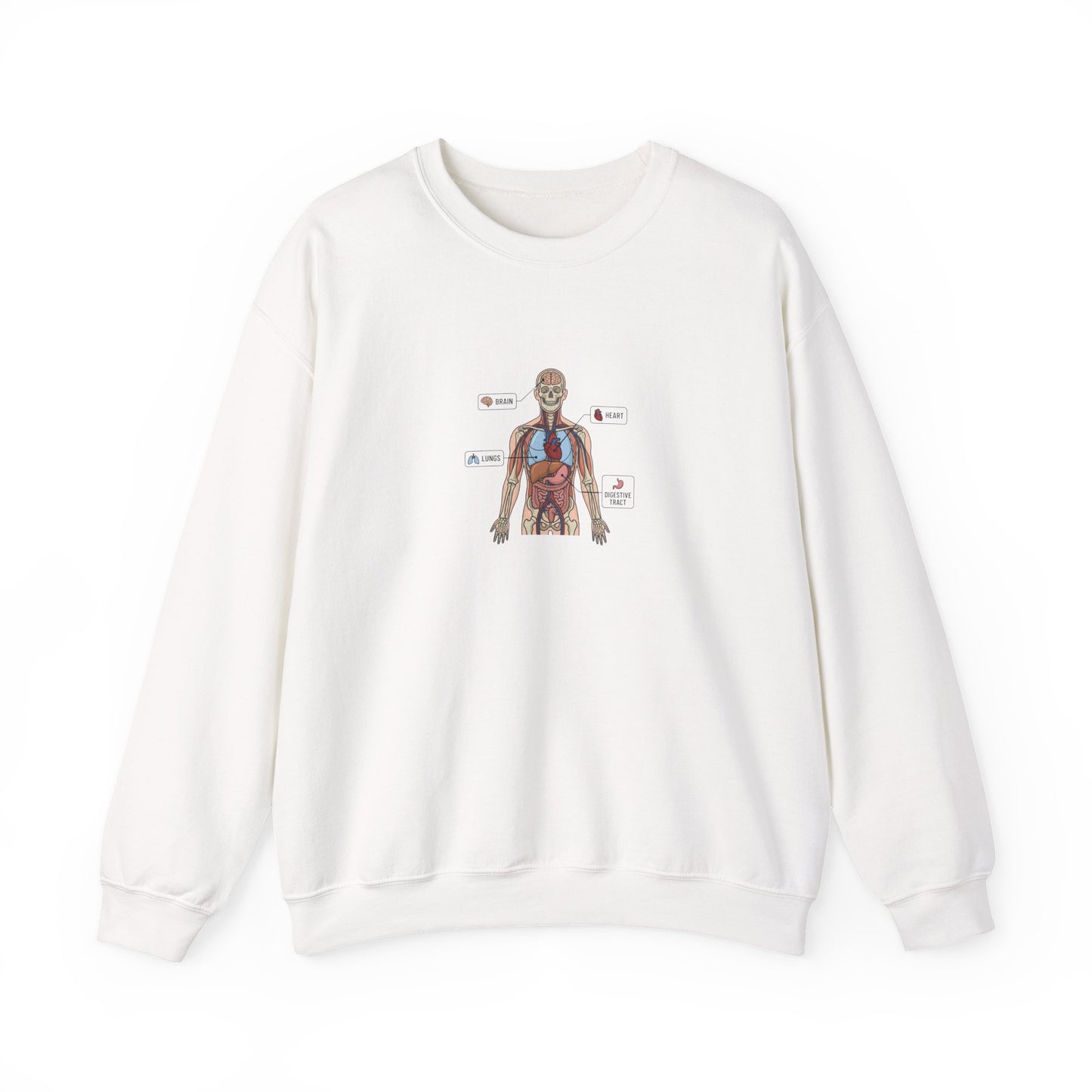 Anatomy Study Crewneck Sweatshirt — Human Anatomy Diagram for Medical Students