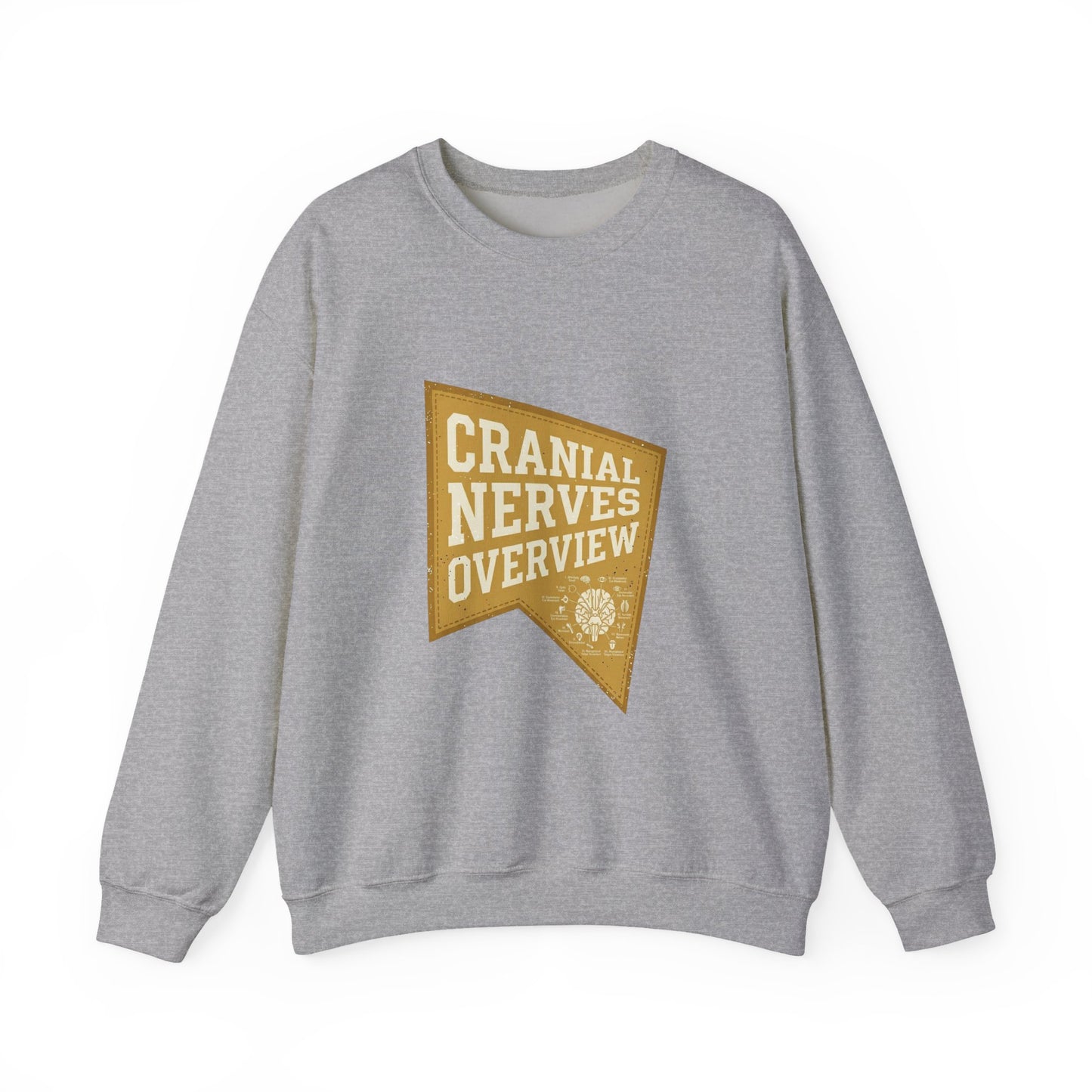 Cranial Nerves Overview Sweatshirt | Retro Anatomy, Easy Tiger Vibe