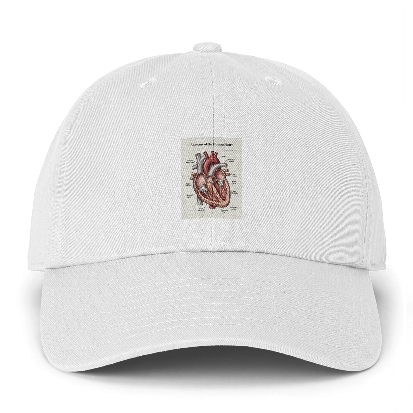 Anatomical Heart Embroidered Cap — Vintage Medical Illustration Dad Hat