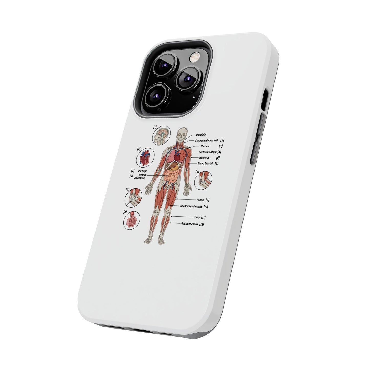 Anatomy Study Phone Case — Human Anatomy Diagram for Medical Students