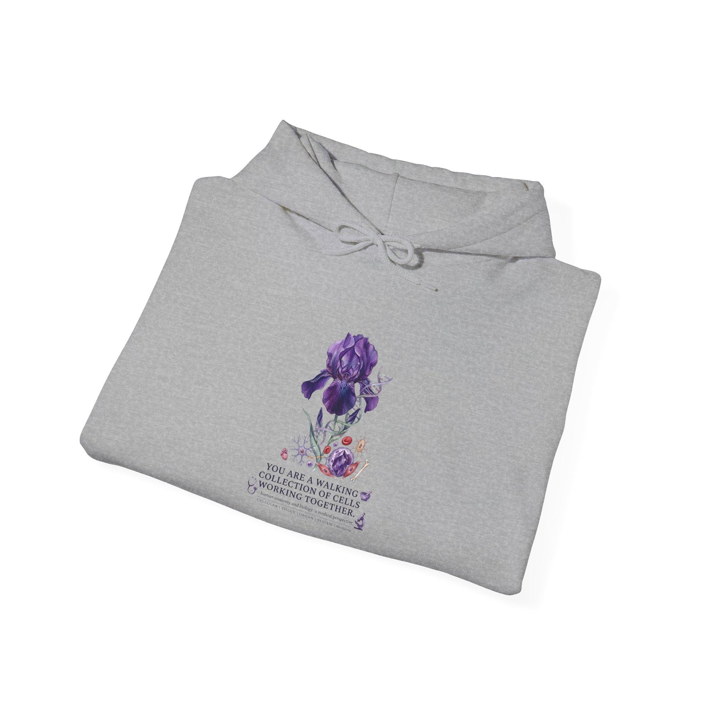 Iris Birth Flower Hoodie | Botanical Birth Month, Meaning & Floral Illustration