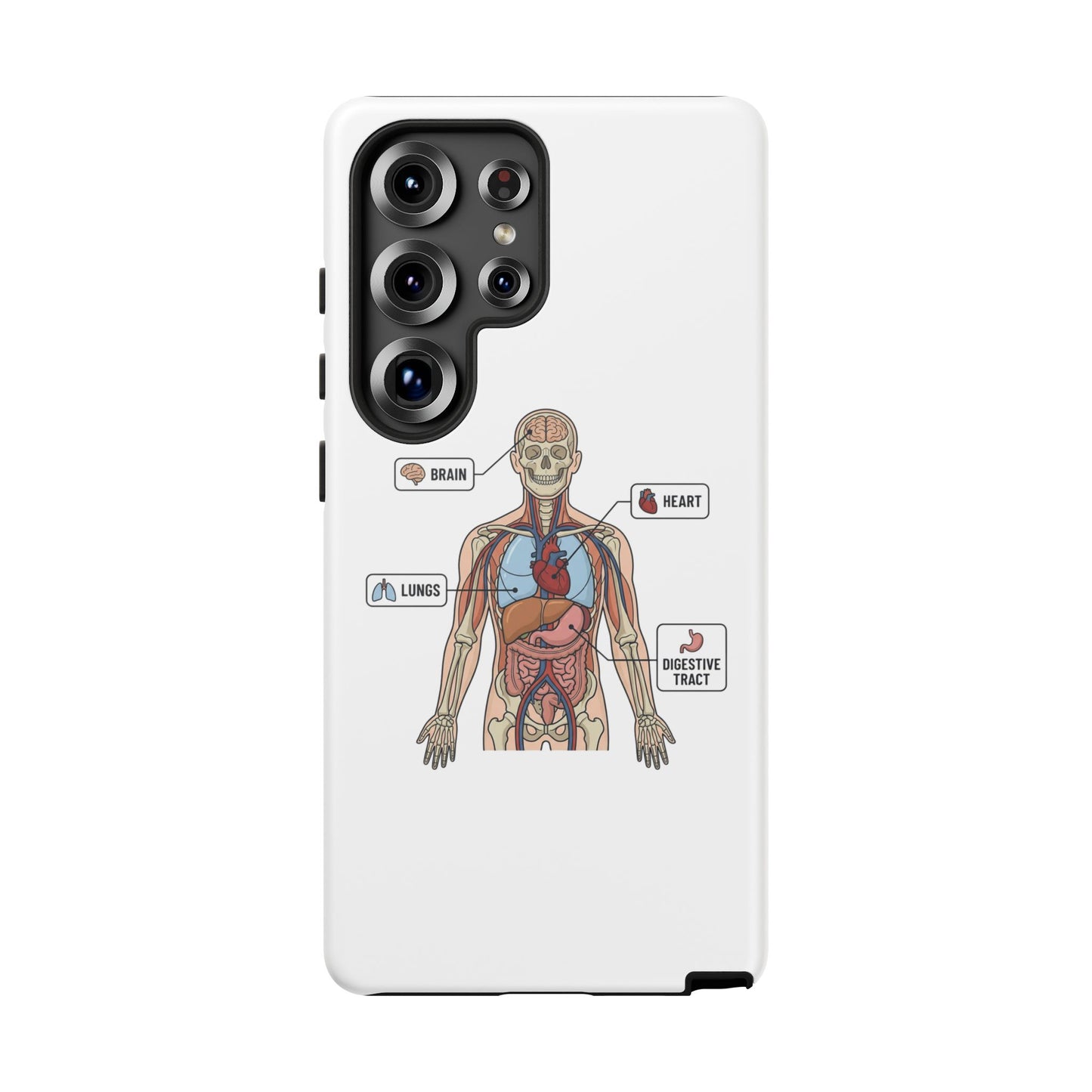Anatomy Case — Medical Student Human Anatomy Study Aid