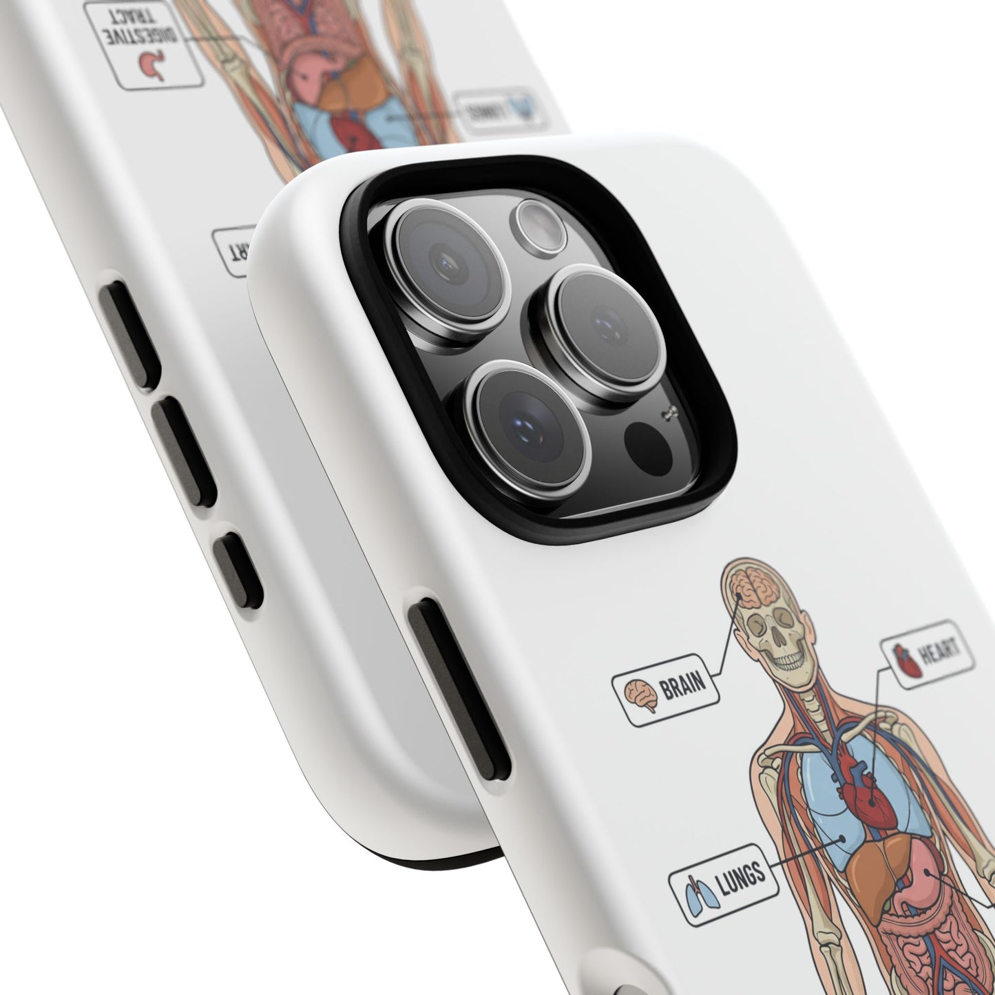 Anatomy Case — Medical Student Human Anatomy Study Aid