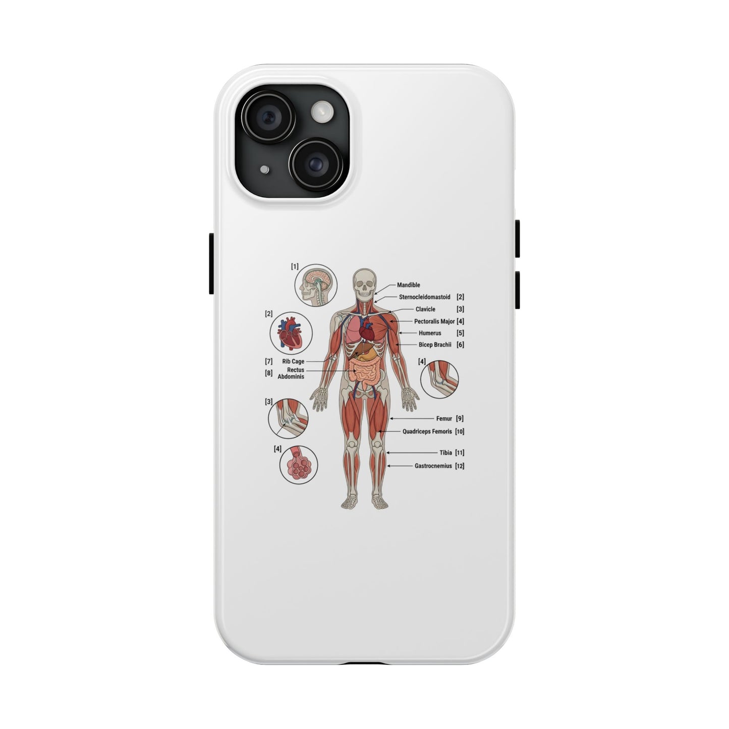 Anatomy Study Phone Case — Human Anatomy Diagram for Medical Students