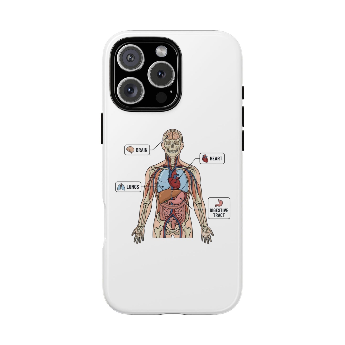 Anatomy Case — Medical Student Human Anatomy Study Aid