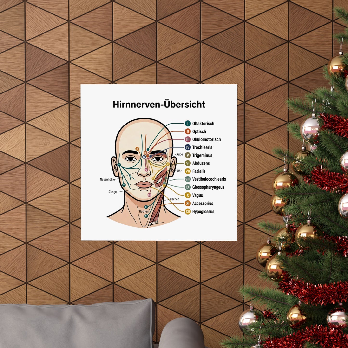 Anatomy Poster — Hirnnerven-Übersicht Matte Vertical Poster