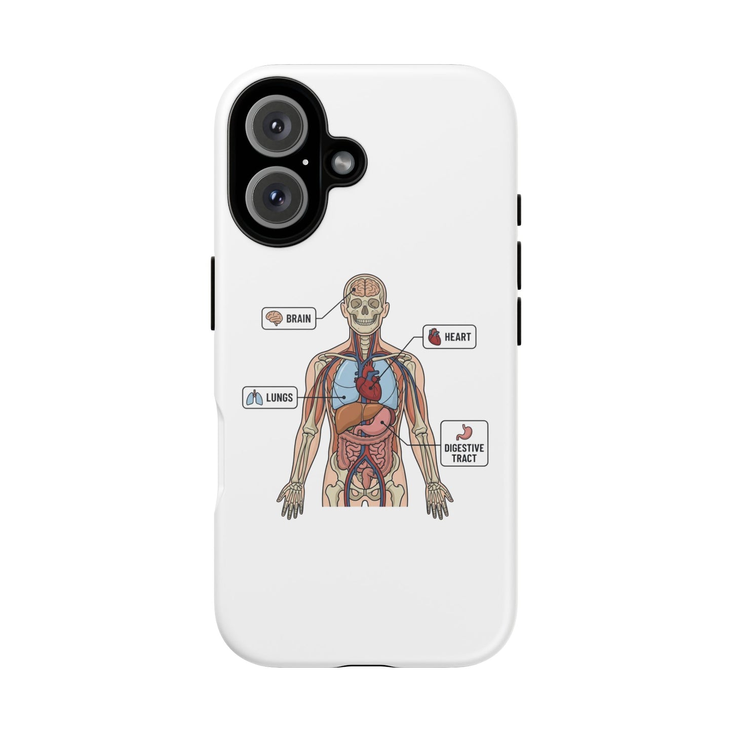 Anatomy Case — Medical Student Human Anatomy Study Aid