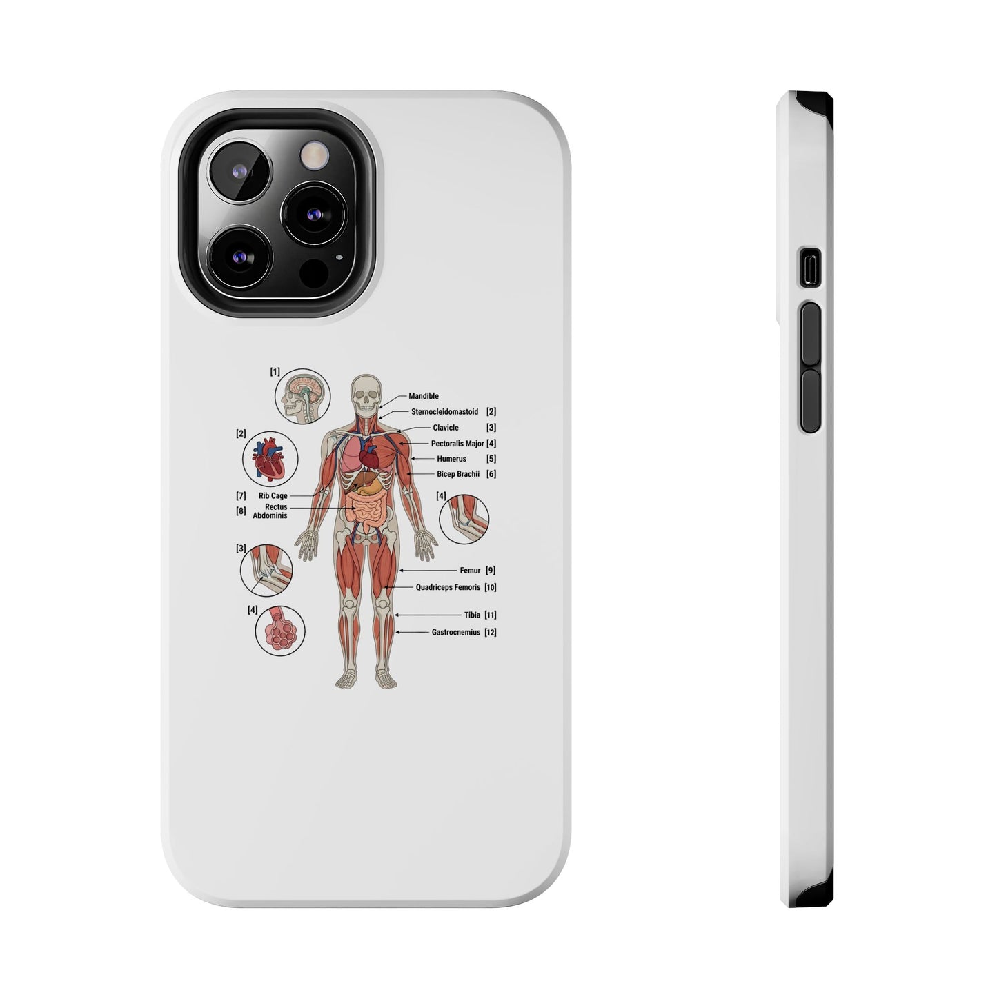 Anatomy Study Phone Case — Human Anatomy Diagram for Medical Students
