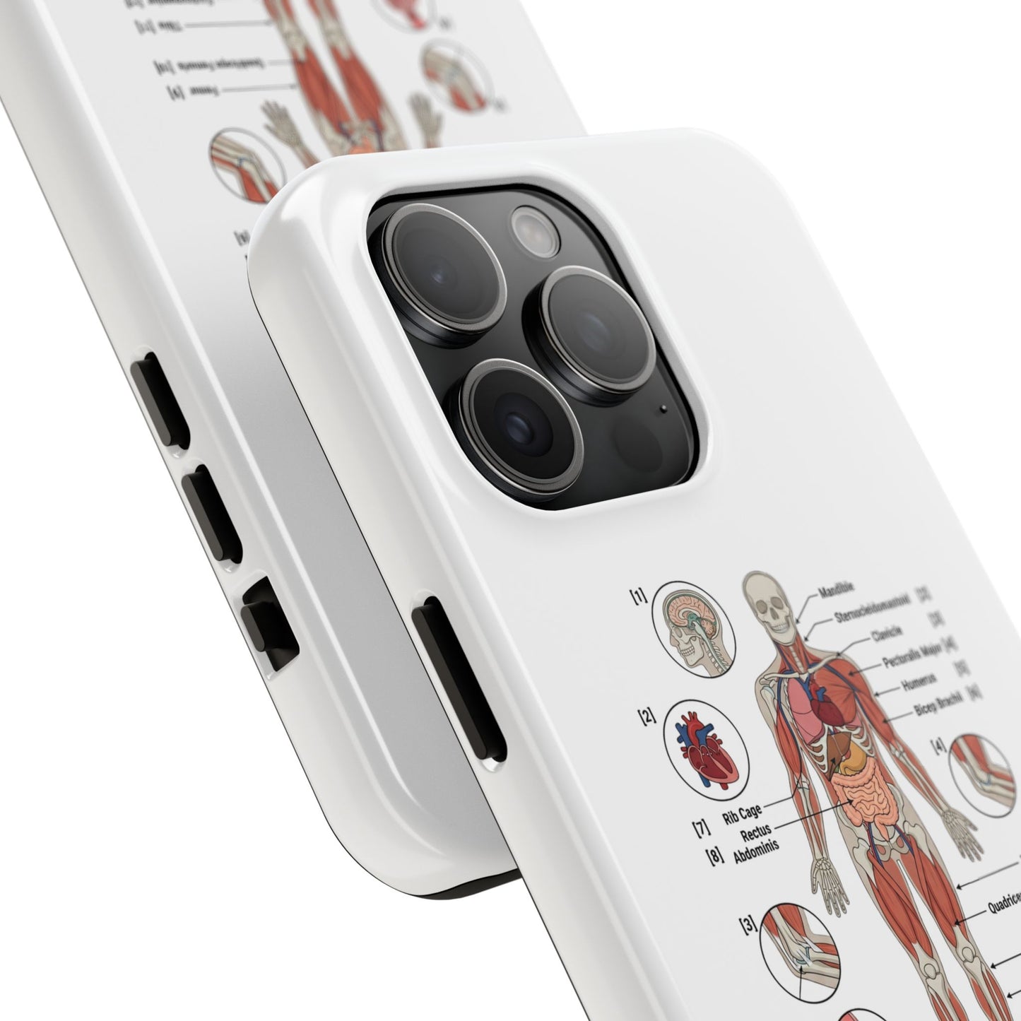 Anatomy Study Phone Case — Human Anatomy Diagram for Medical Students