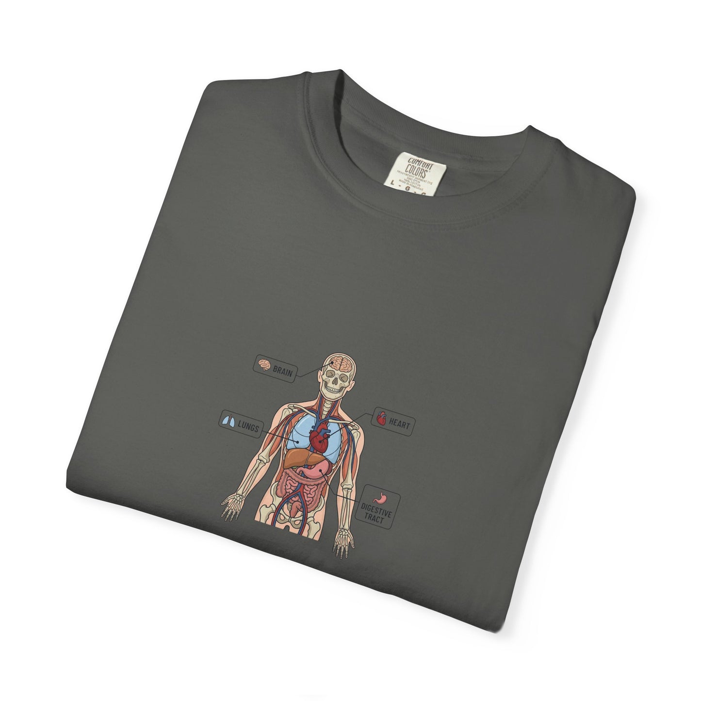 Human Anatomy Diagram T-Shirt — Medical Student Anatomy Tee