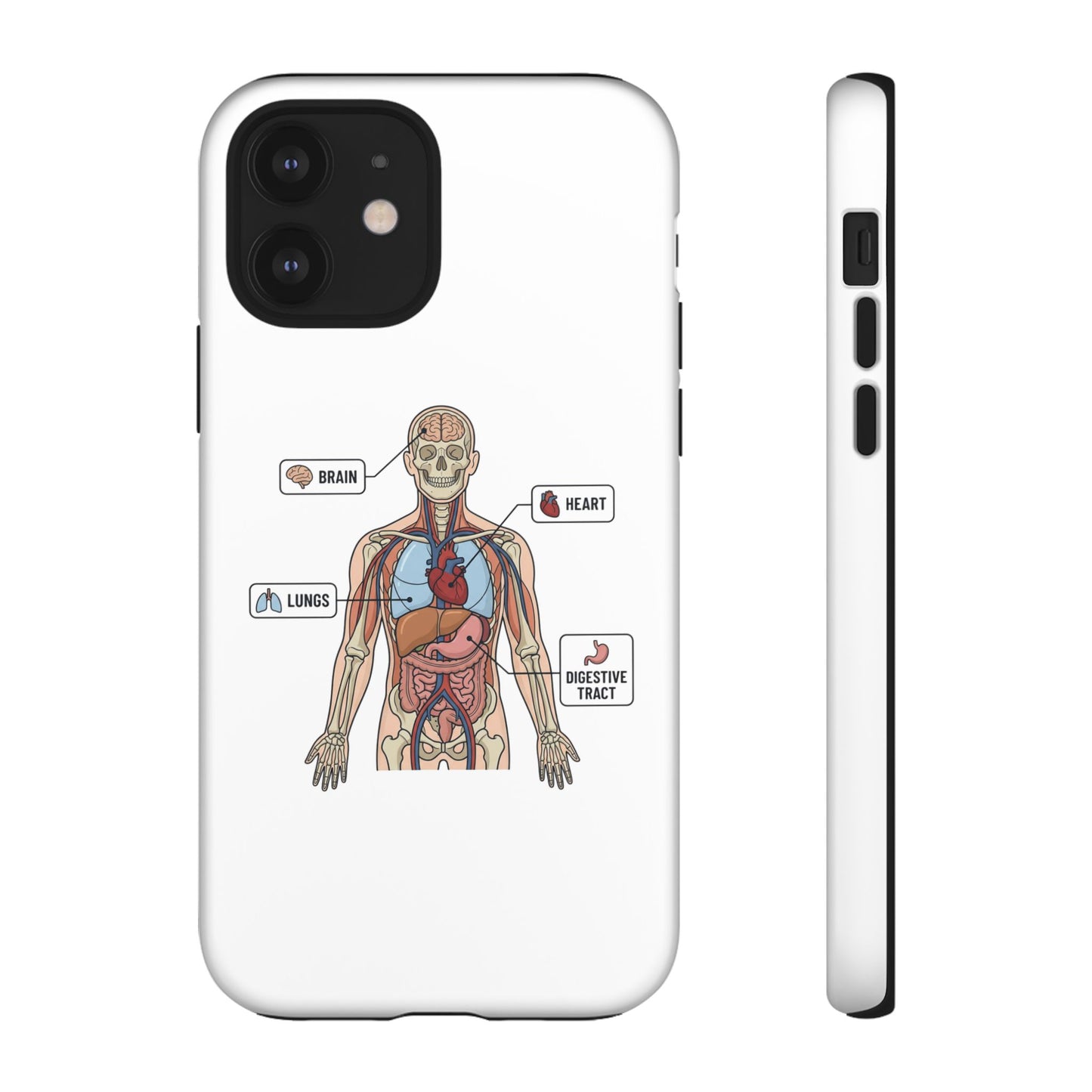 Anatomy Case — Medical Student Human Anatomy Study Aid